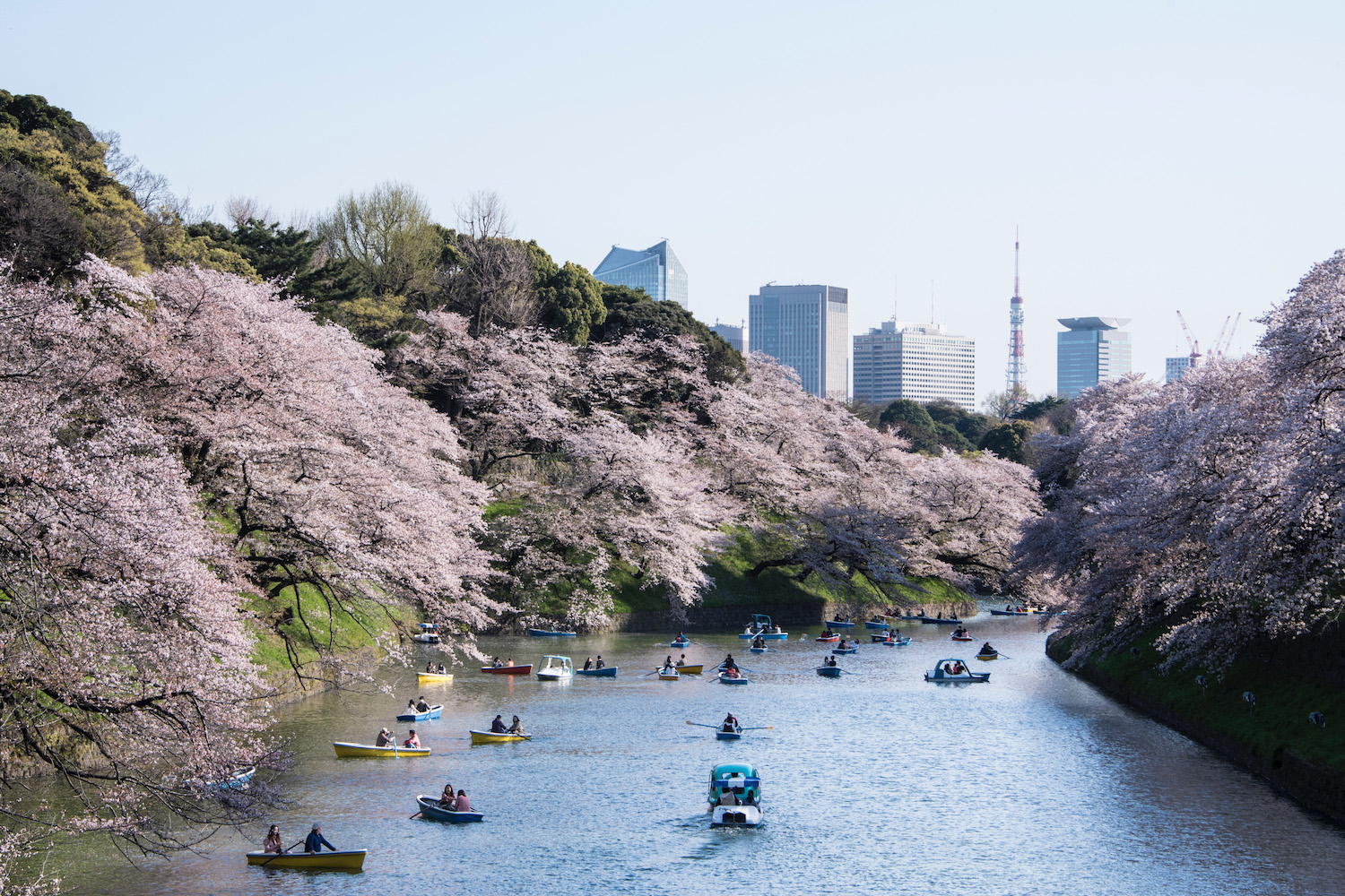 Best Times to Visit Japan