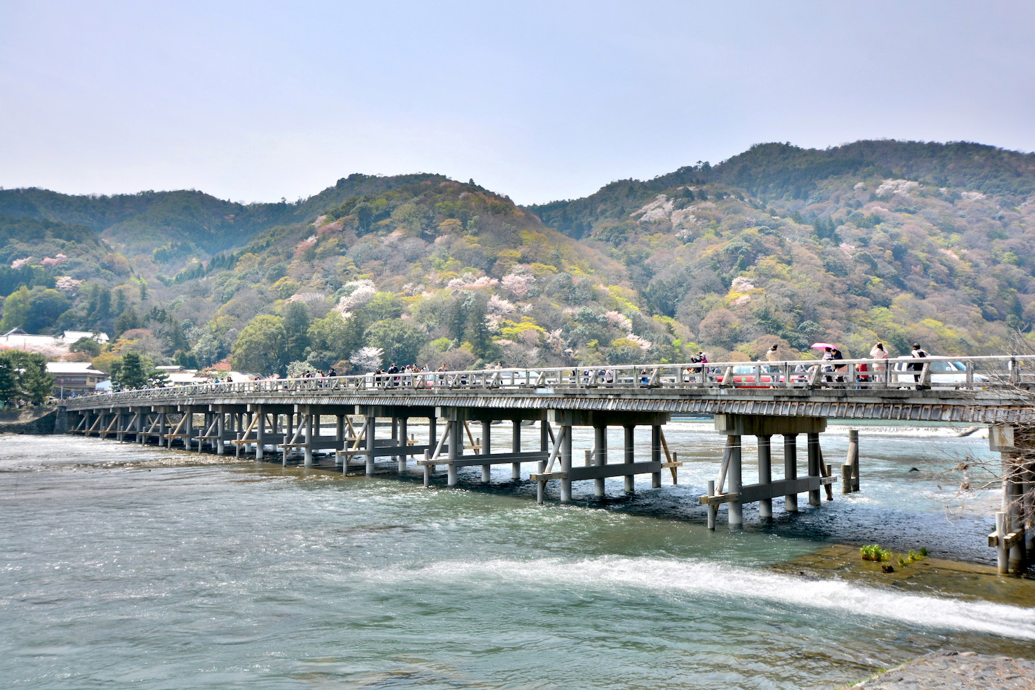 Sakura Bridge Kyoto Sakura mountain in Kyoto, Japan