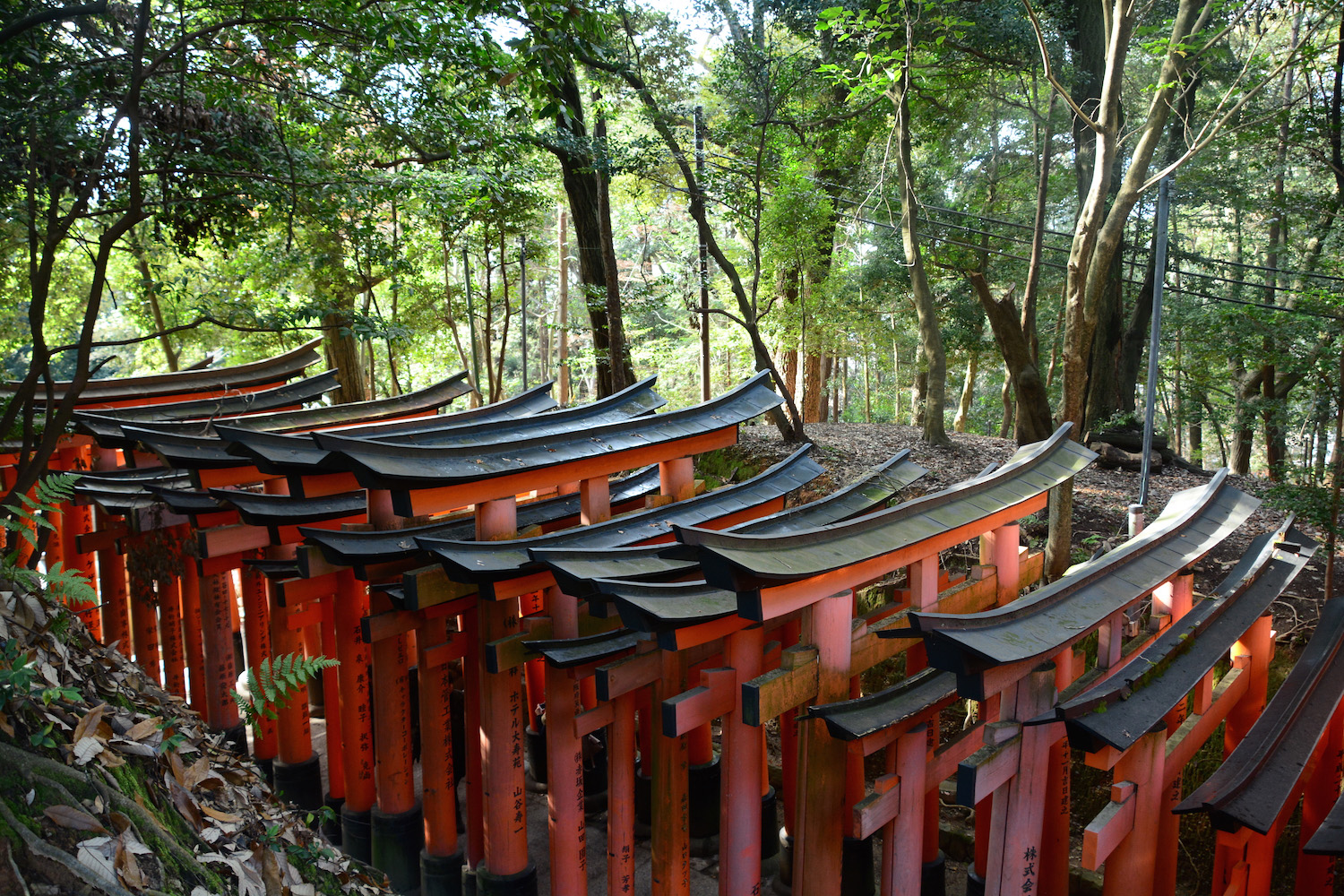 Fushimi Inari Shrine Fushimi Inari in Kyoto, Japan