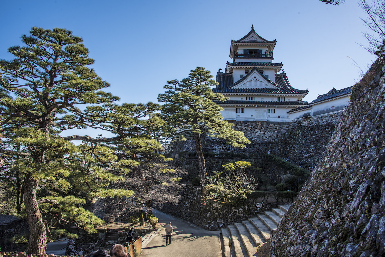 shikoku island tourist