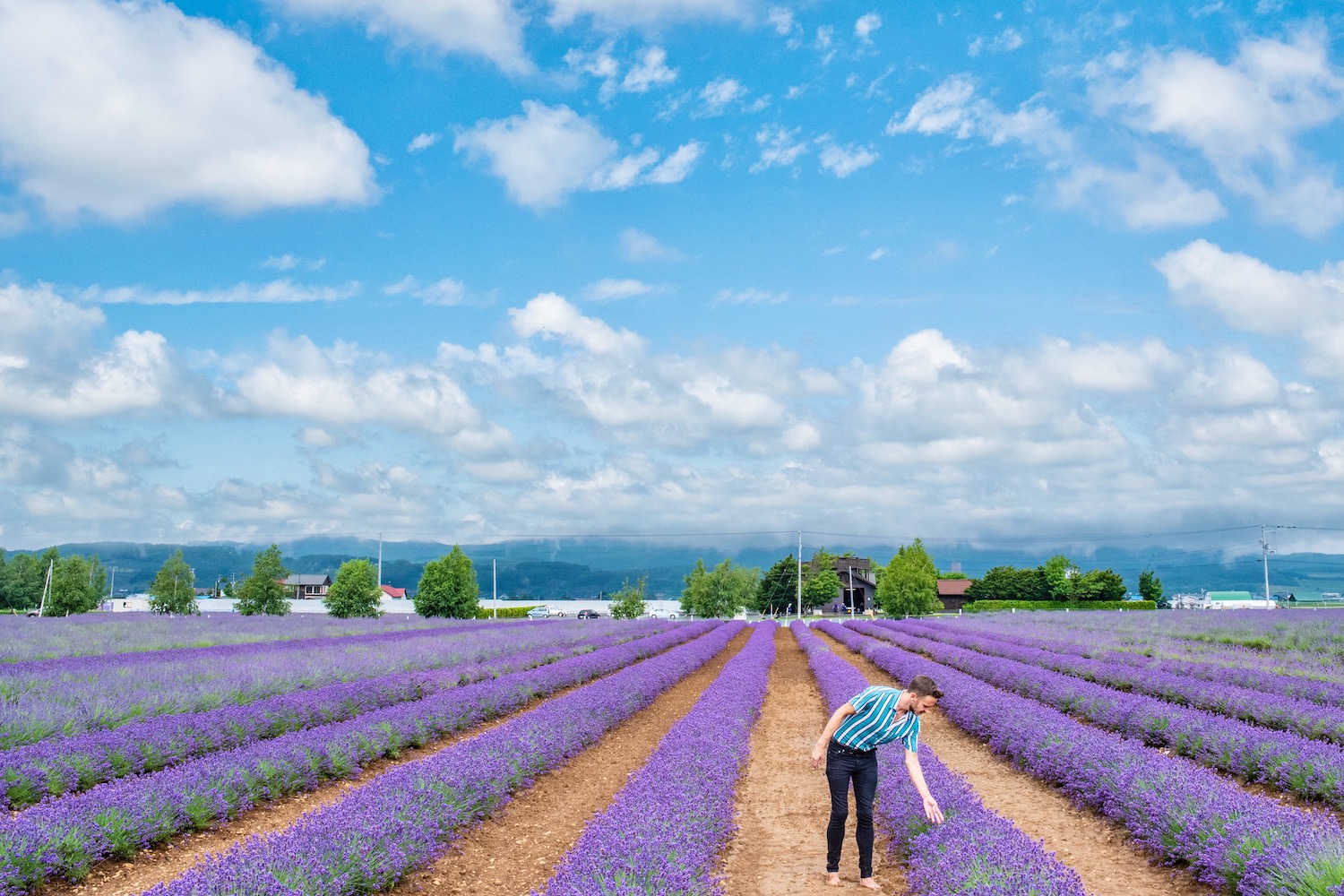 Hokkaido in summer