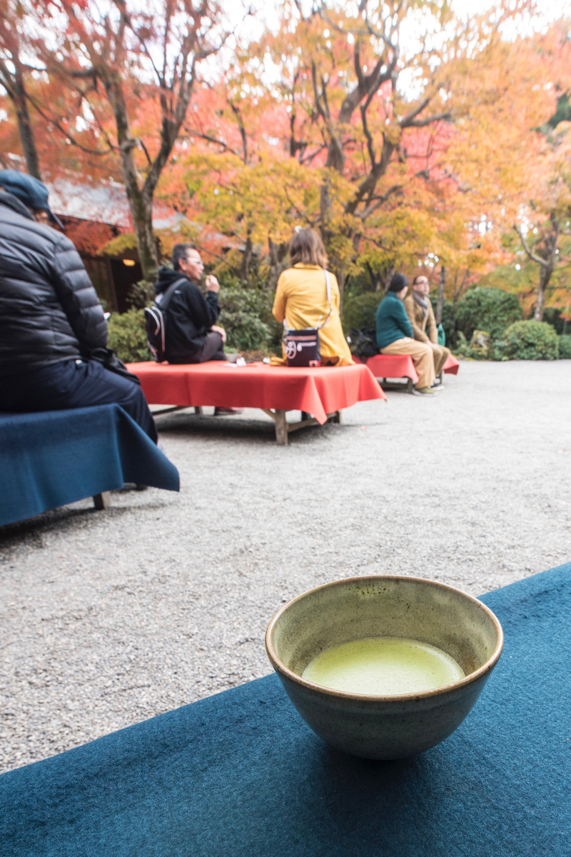 Fall colors over tea in Arashiyama, Japan