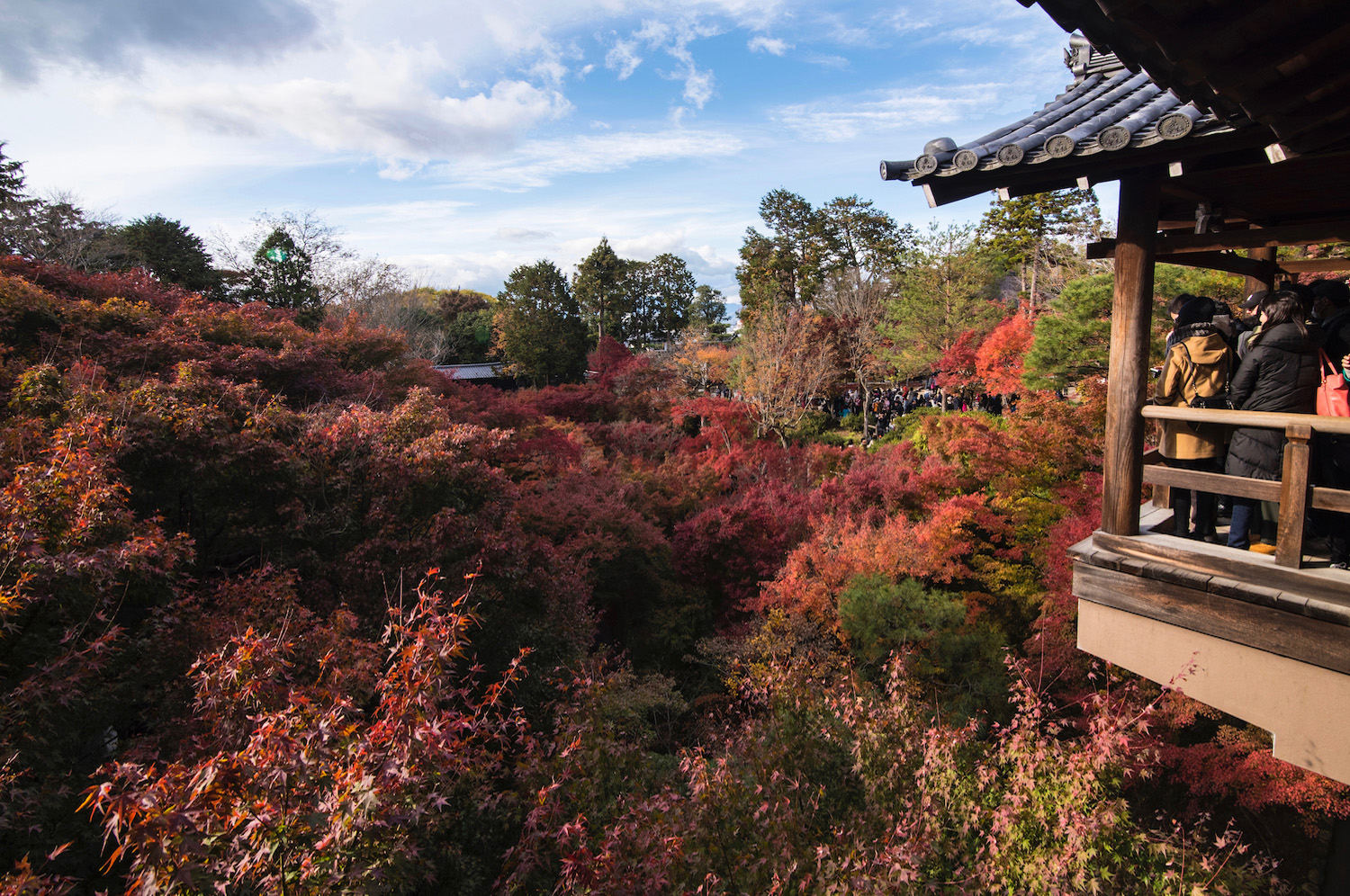 A Marvelous Menagerie Of Gardens In Kyoto