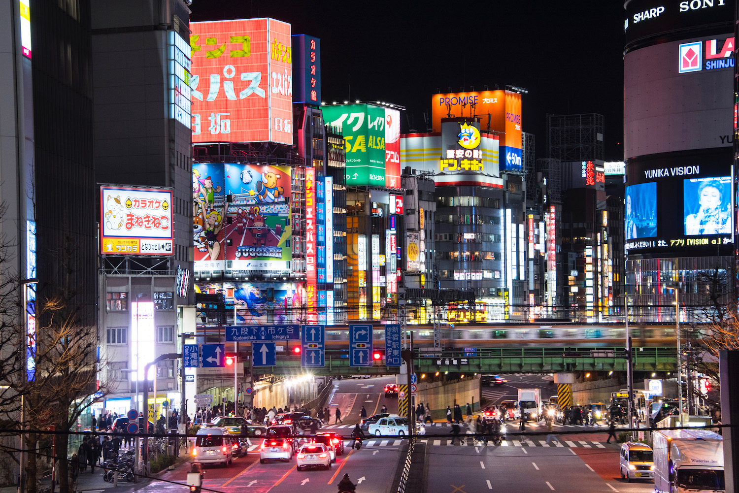 tokyo tourist attractions in winter