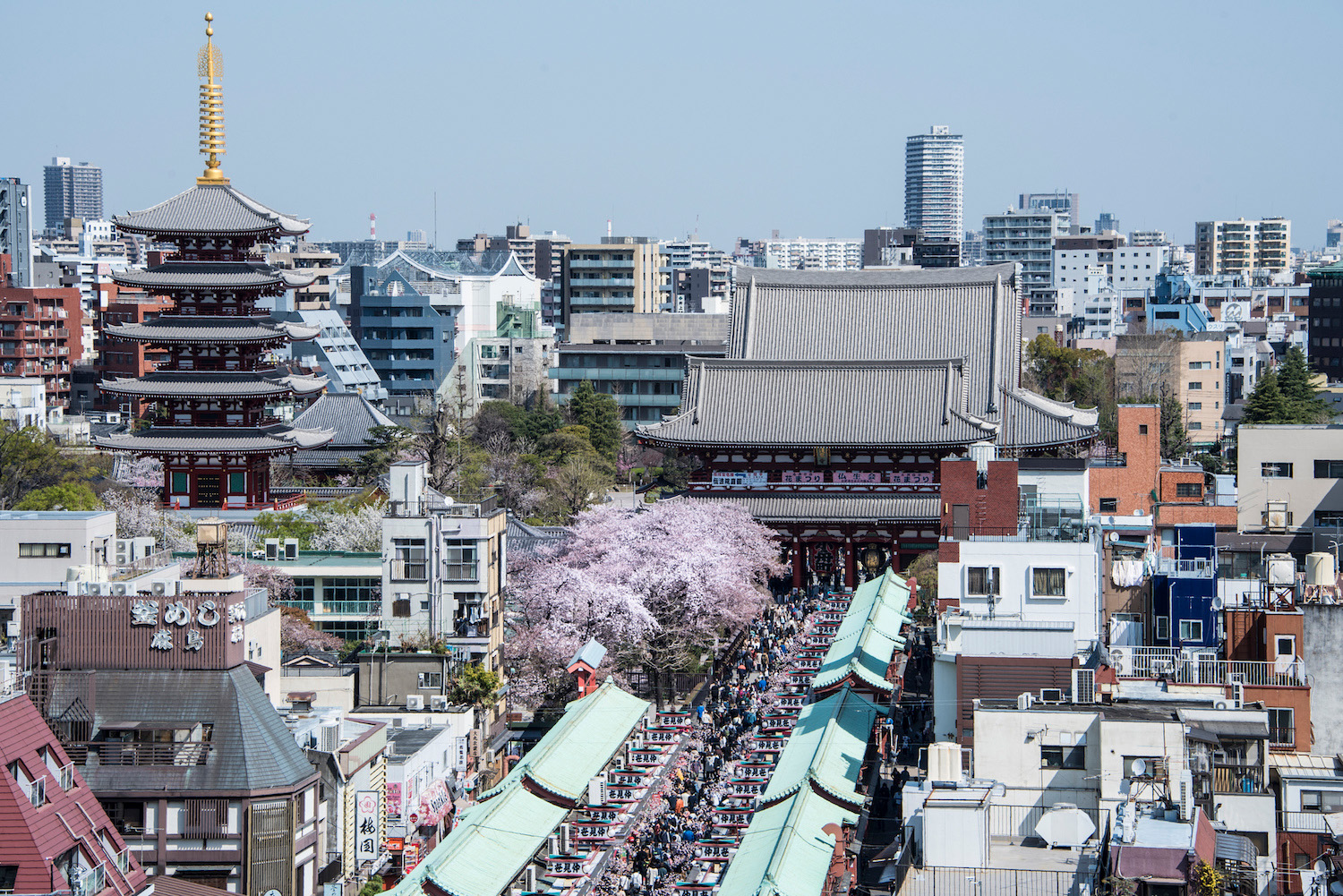 Places to Visit in Tokyo: The Ultimate Guide