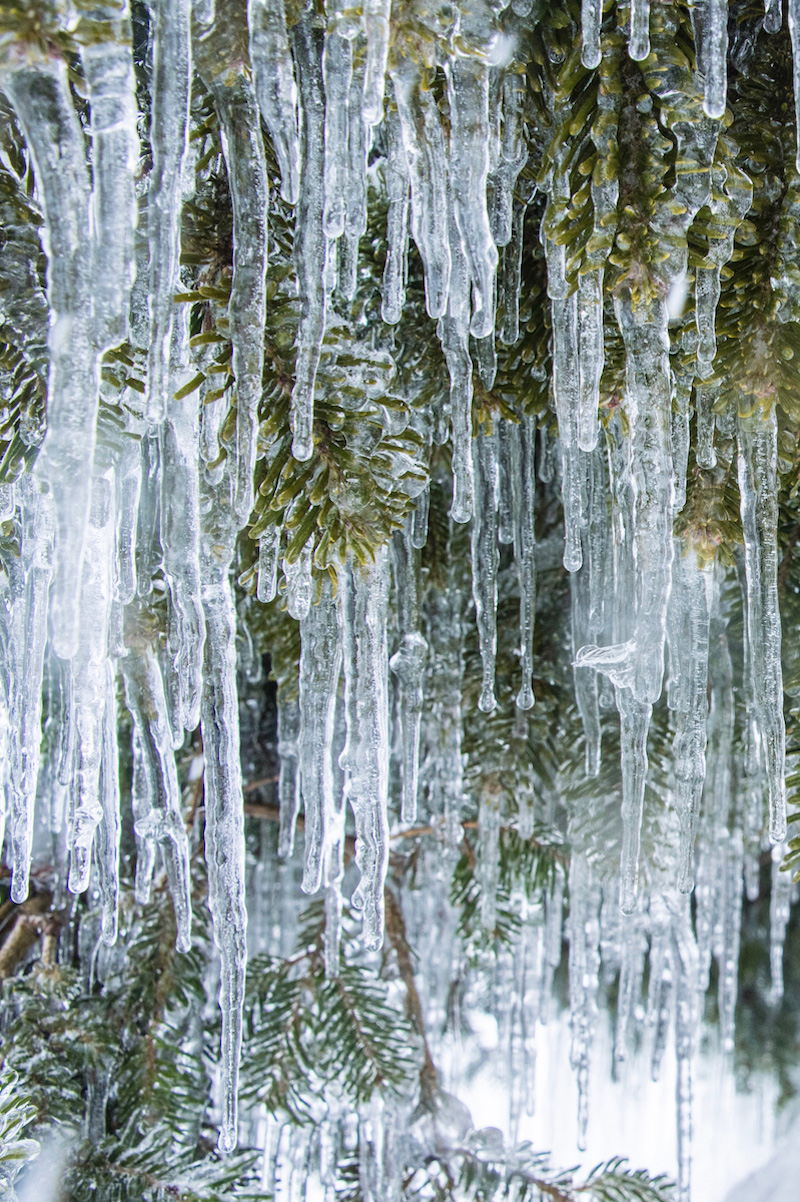 30 Pictures to Inspire Your Japan Winter Travel