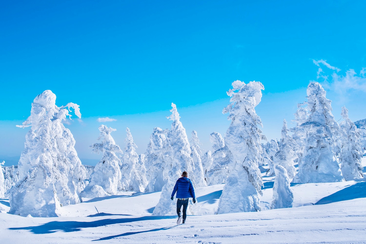 30 Pictures That Will Make You Want to Visit Japan