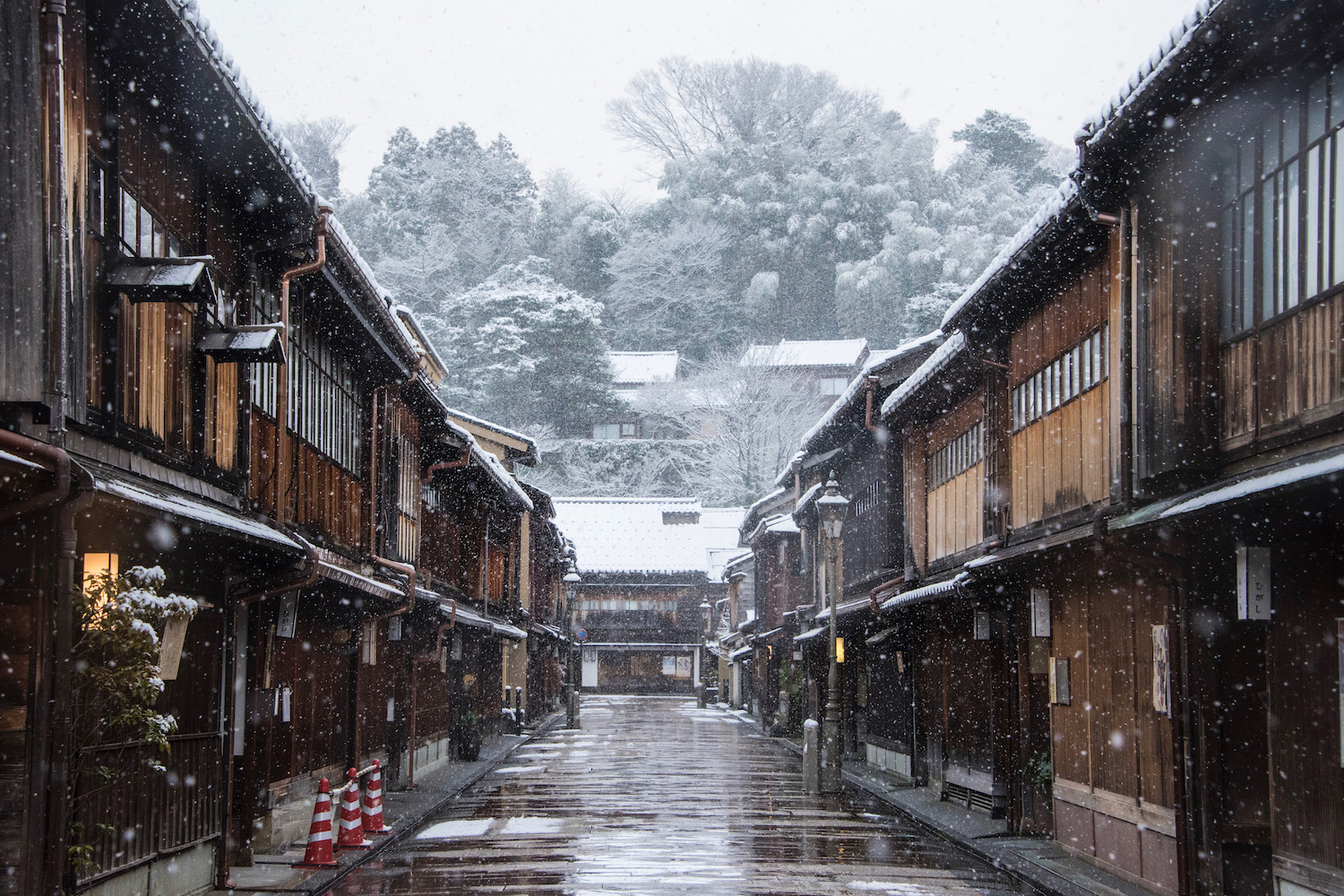 The Best Things to Do in Kanazawa Japan  s Marsh of Gold 