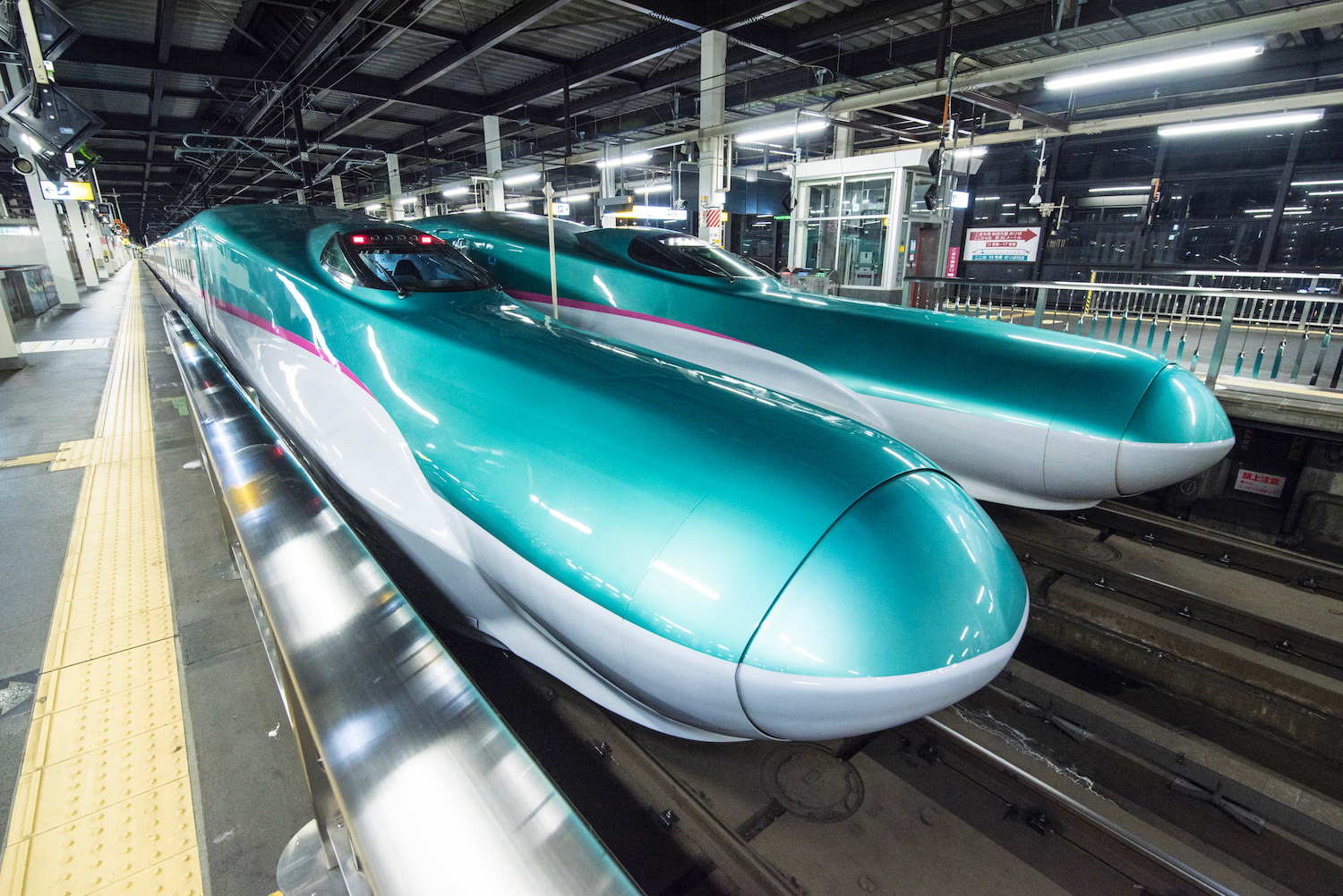 fast track visit japan