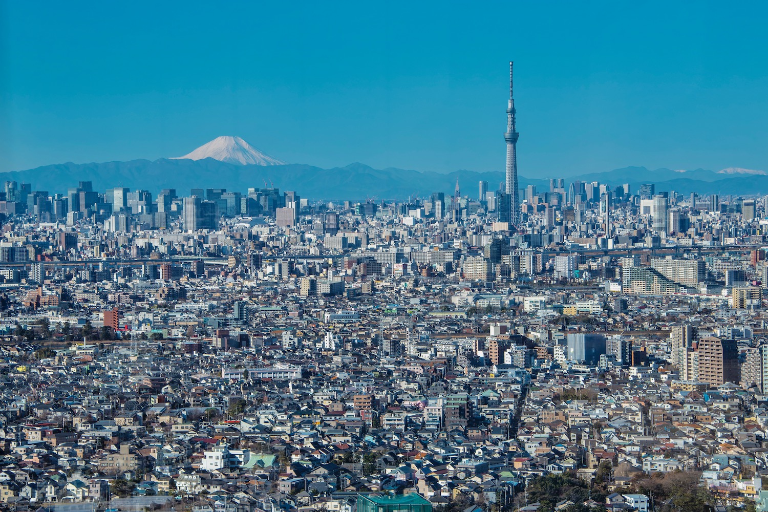 Tokyo: the ultimate guide to making the most of your time