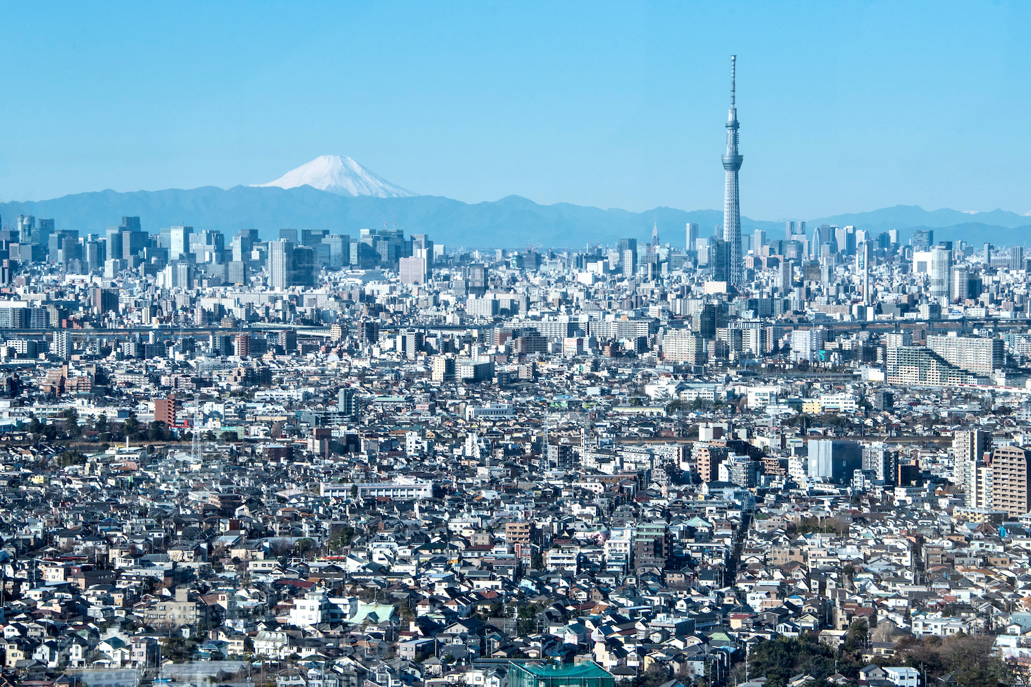 Robert Schrader in Tokyo