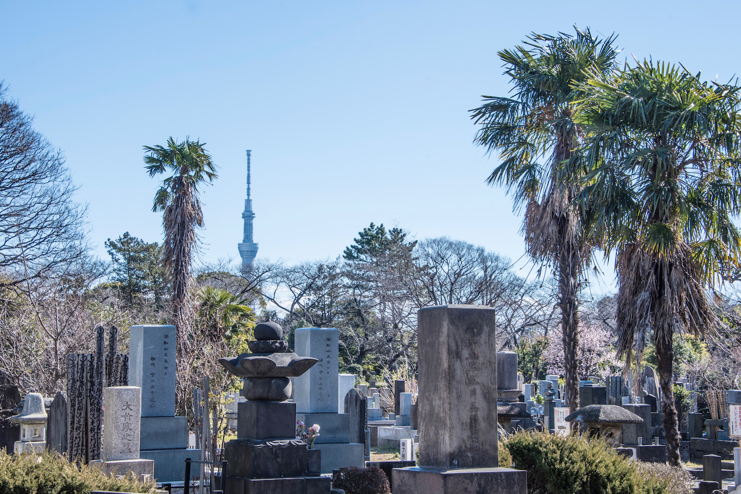 time travel in japanese words