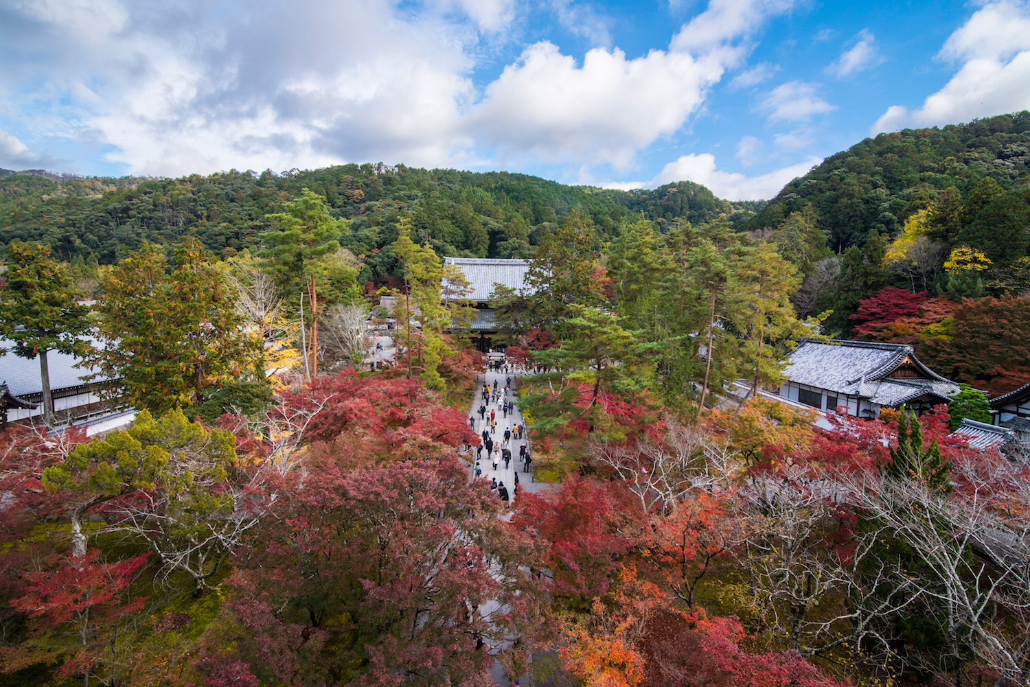 What to Know About Autumn in Japan: 2021 Forecast and More