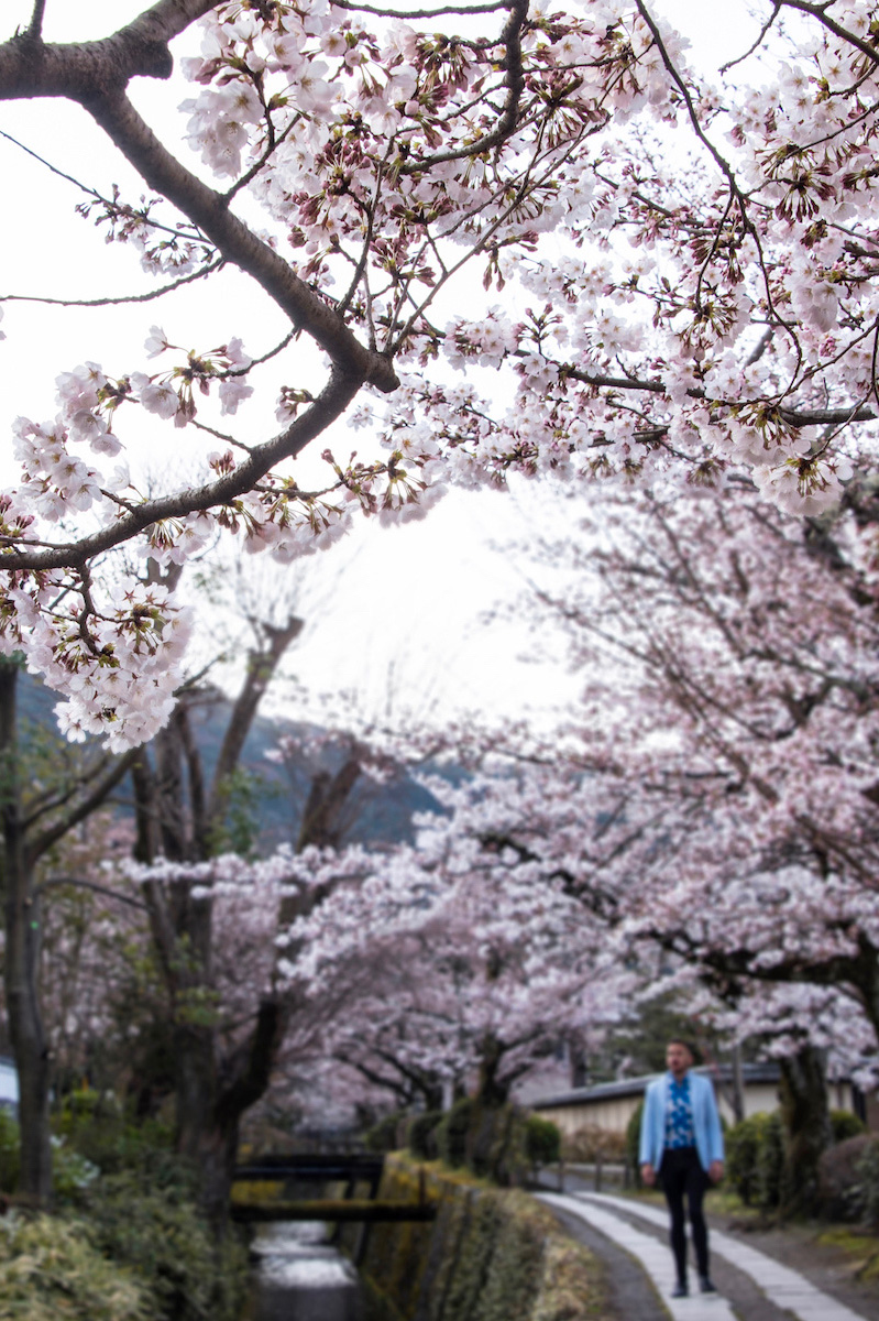 Sakura Photos That Will Inspire Your Travel To Japan In Spring