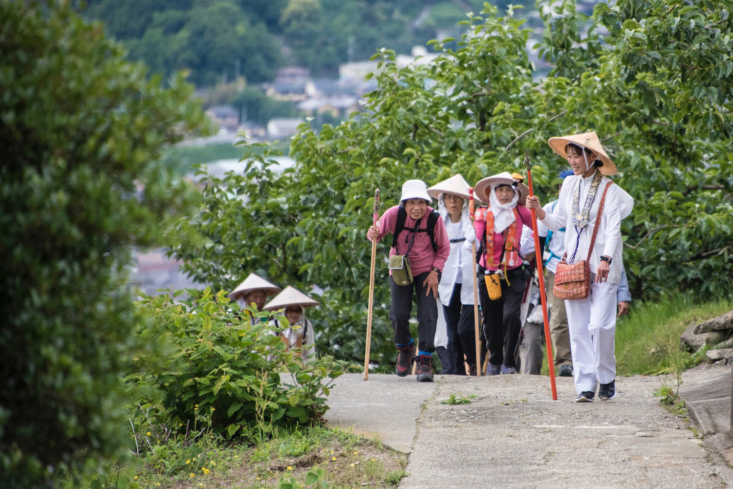 How to Walk Shikoku Pilgrimage After Covid-19