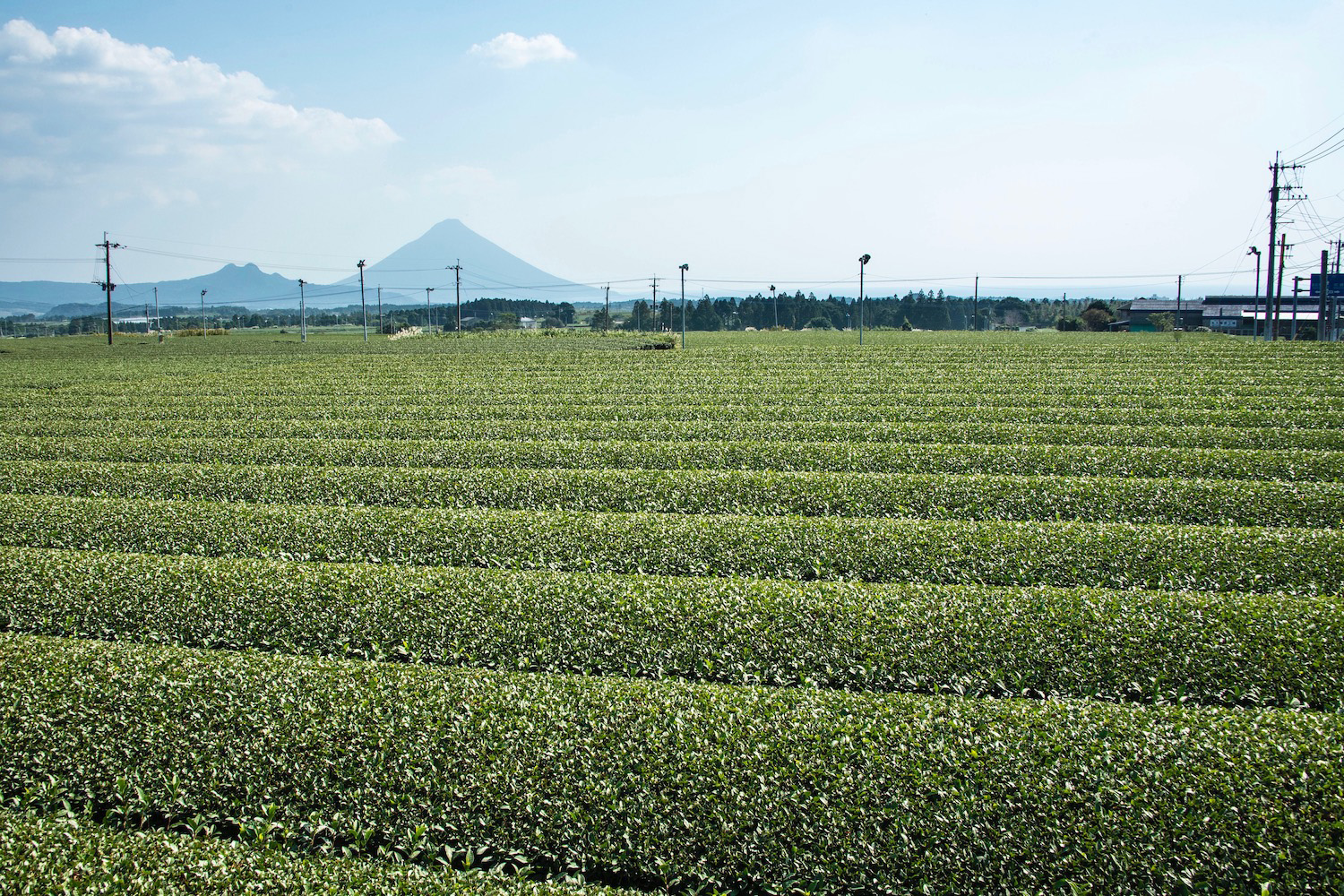 Kagoshima