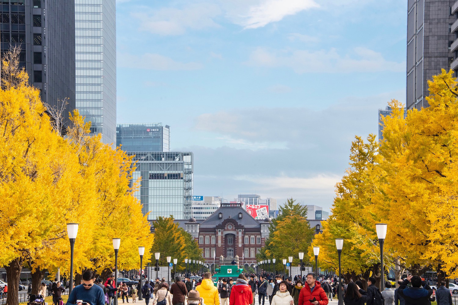 suitcase travel in japan