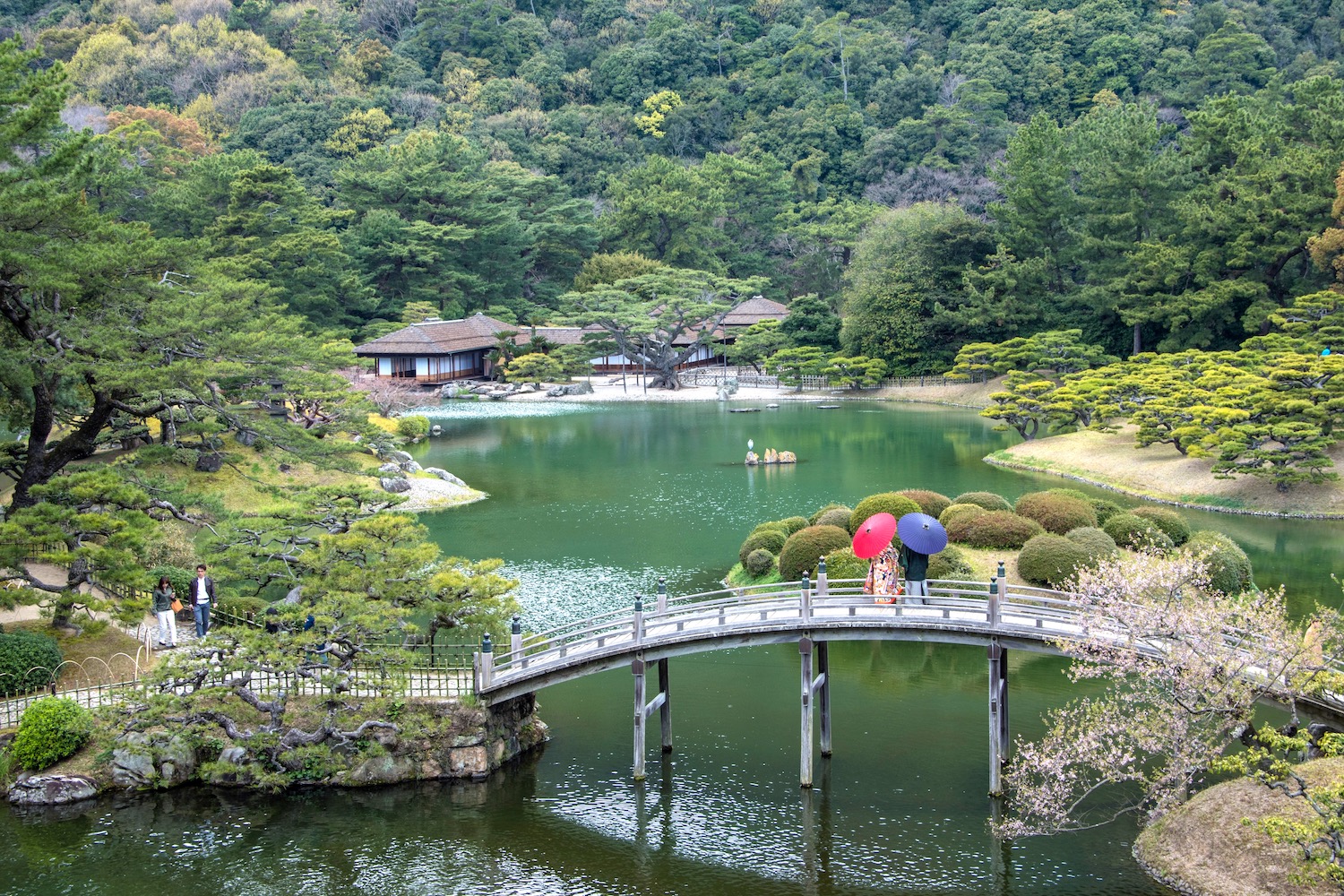 shikoku island tourism