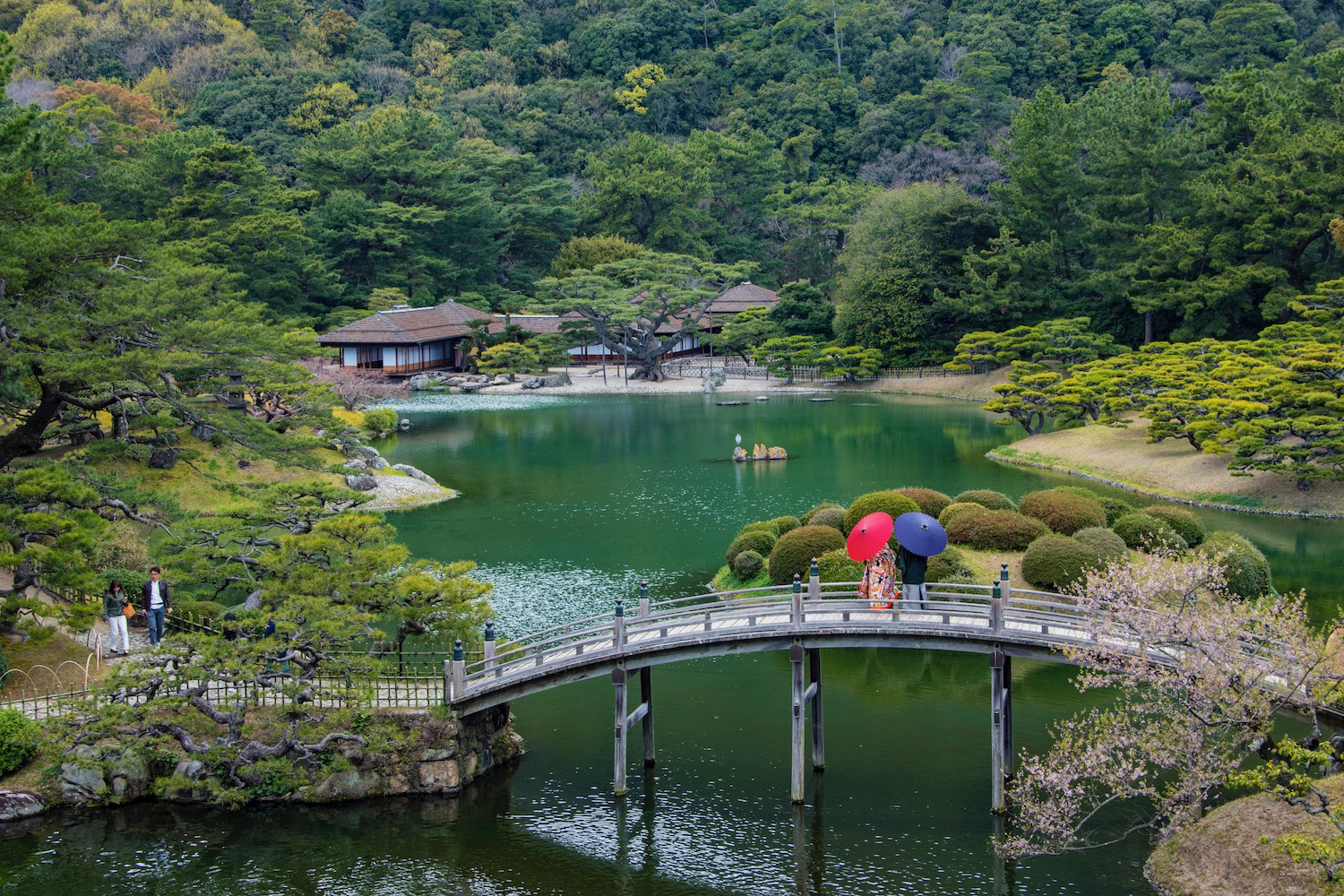 shikoku tourist train