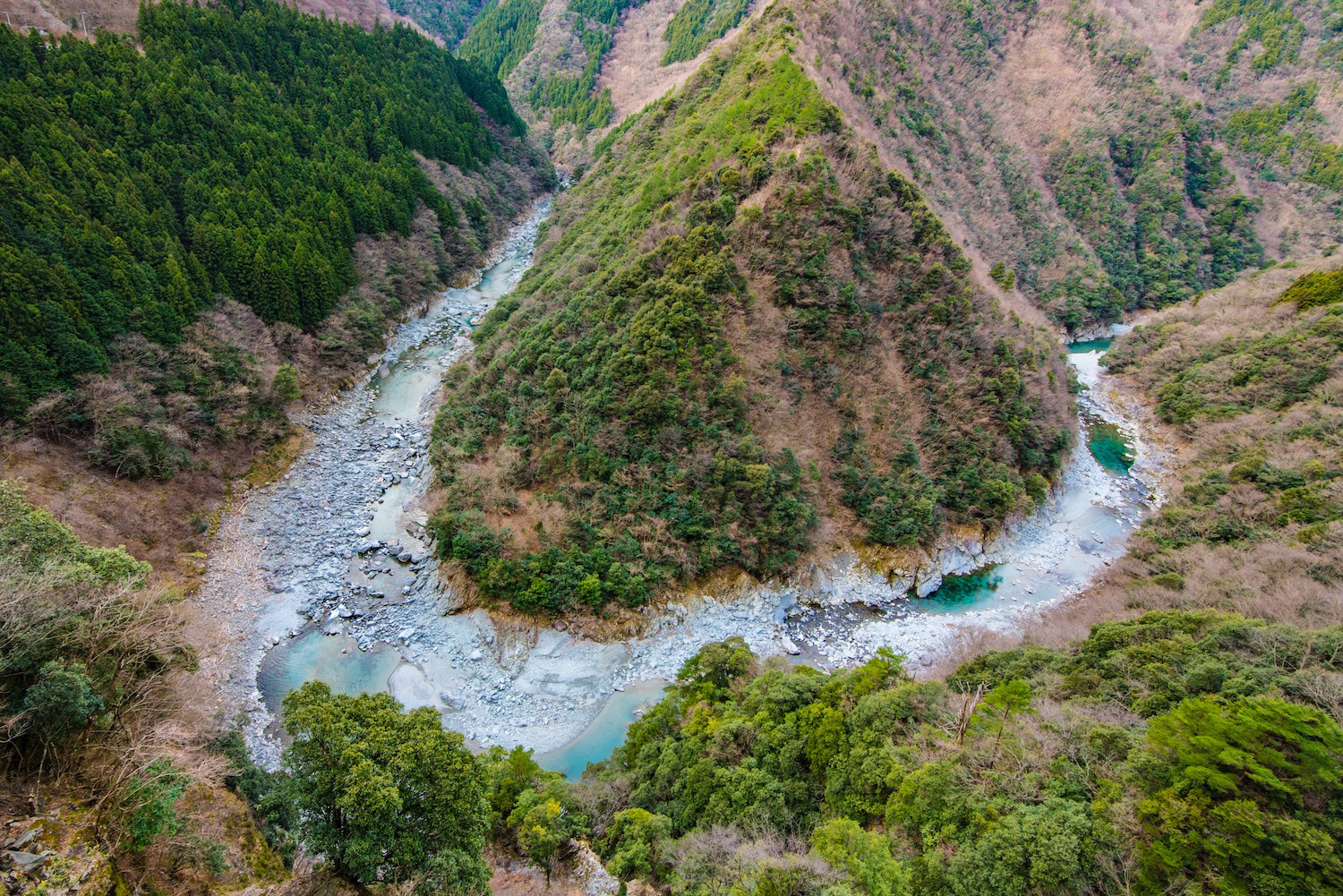 iya valley tour from takamatsu