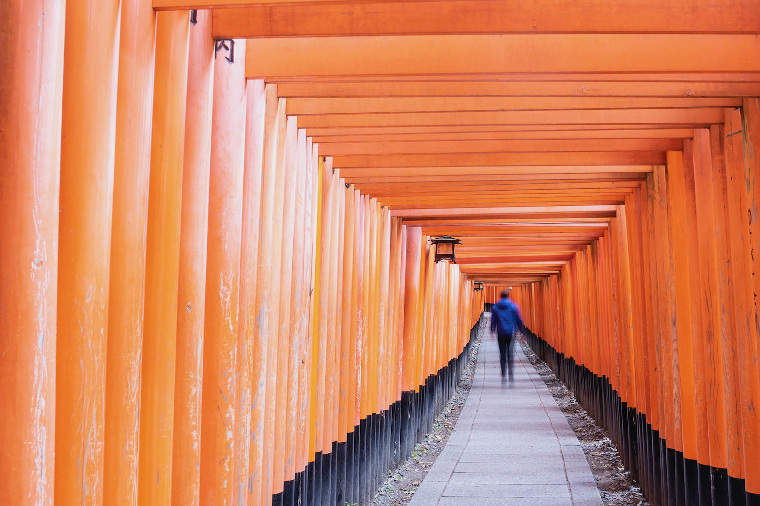 travel in kyoto japan