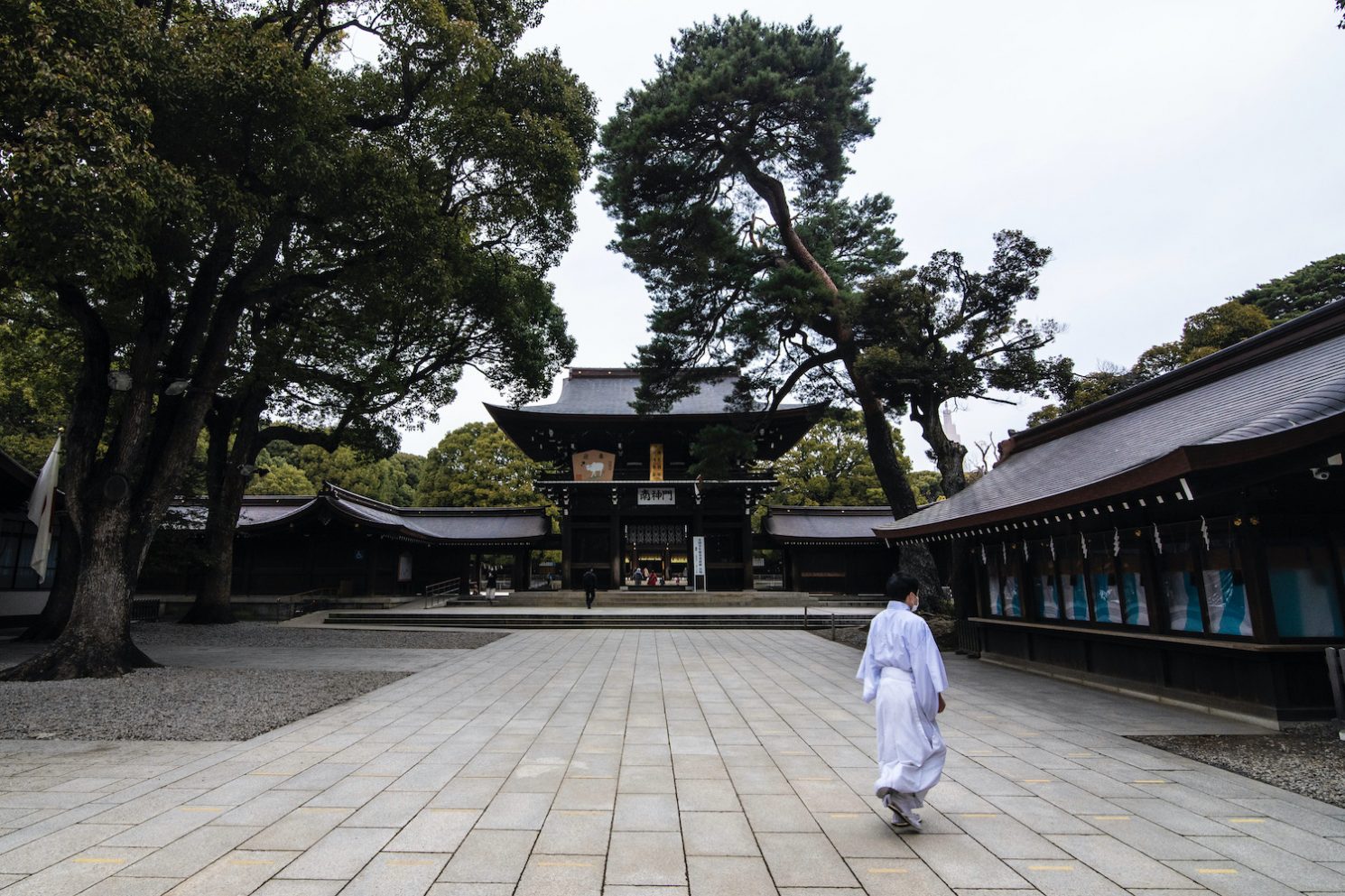 Japan 2022 Archives Japan Starts Here Japan 2022 Archives Japan Starts Here