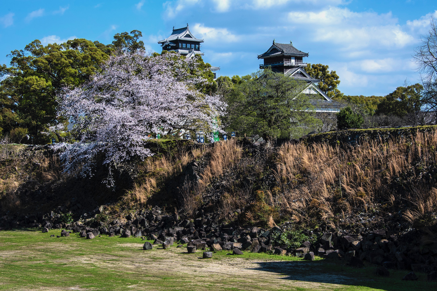 kumamoto day trip