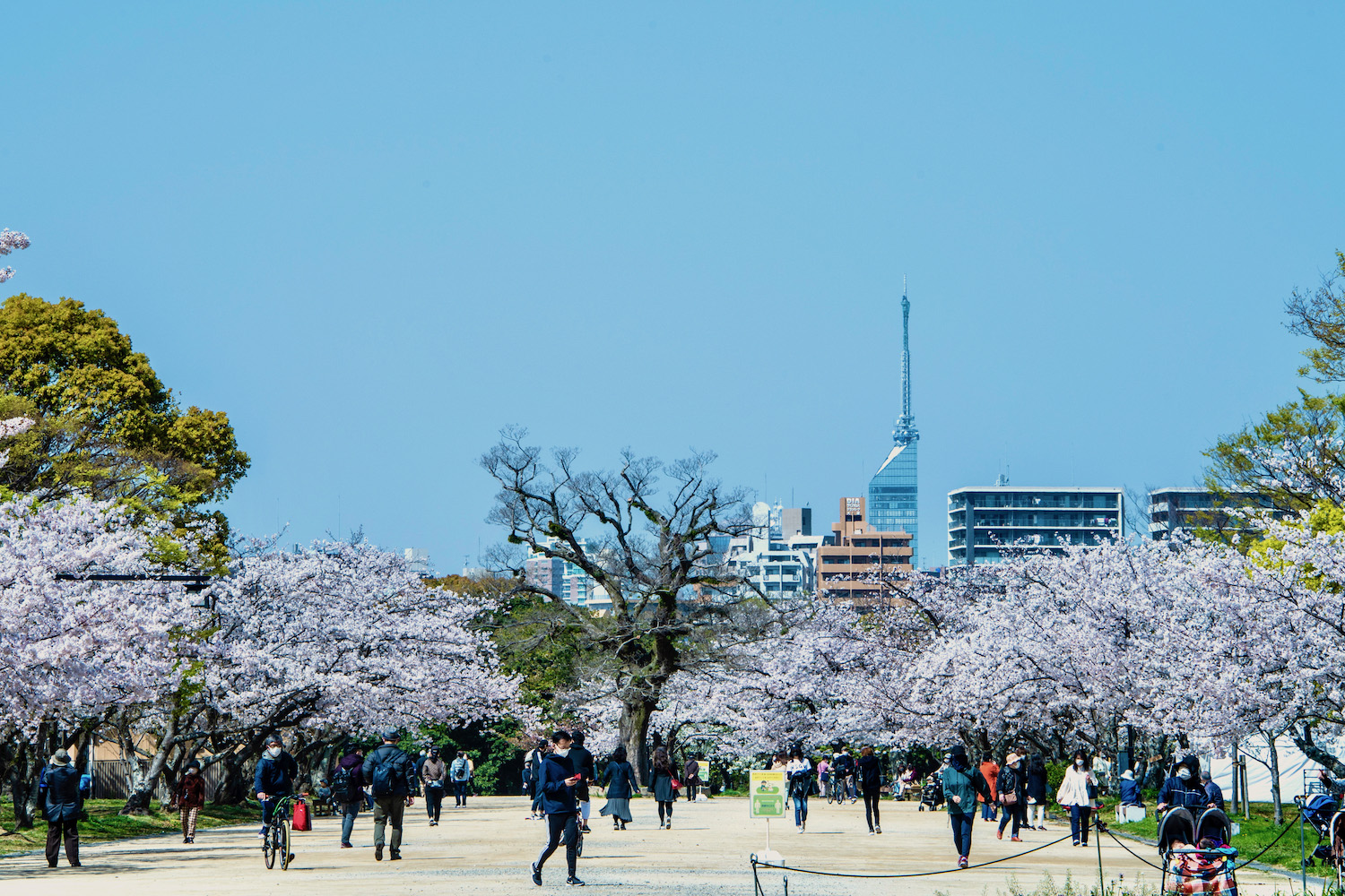 Japanese snacks from Fukuoka (Spring 2018)