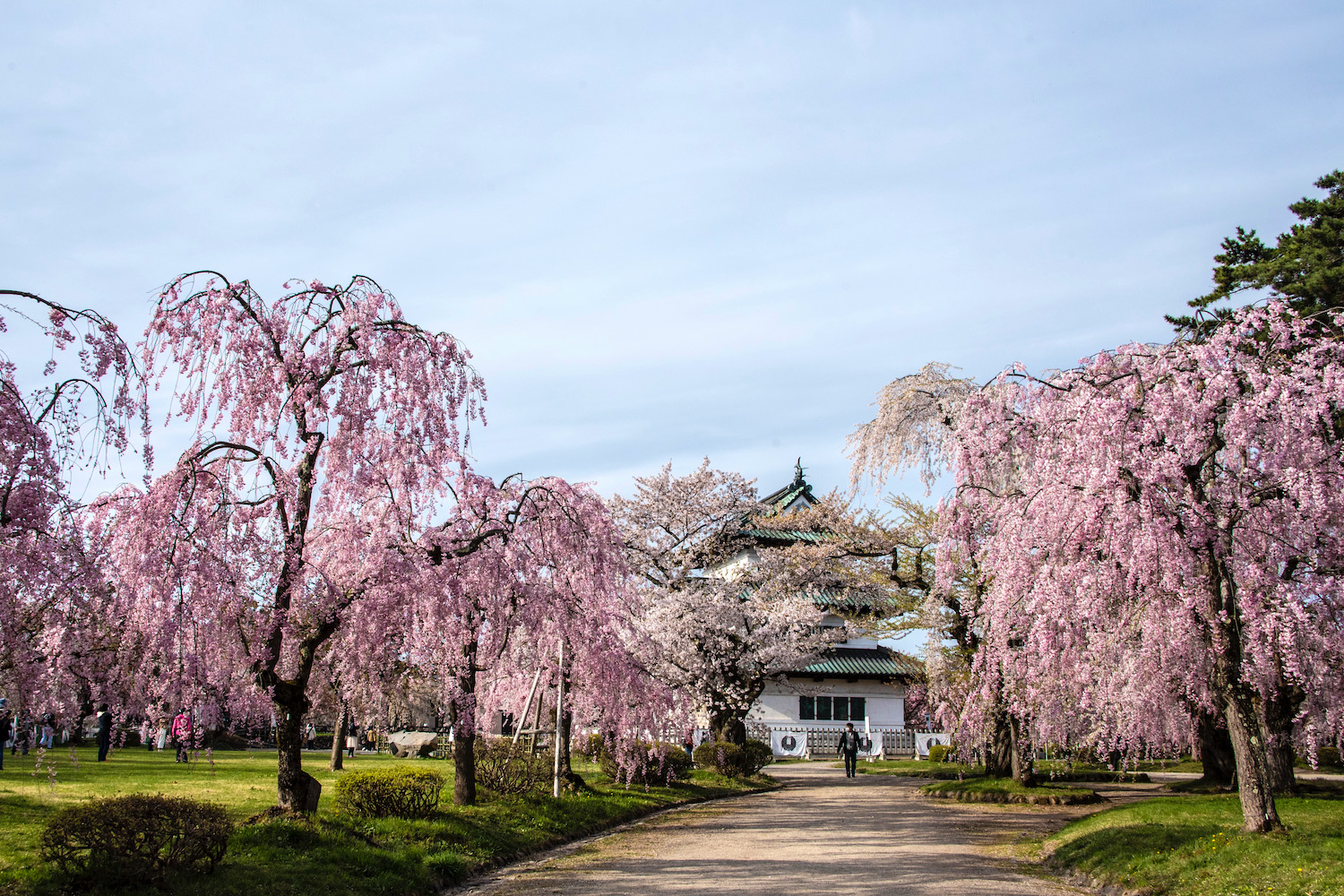 aomori tourist spot