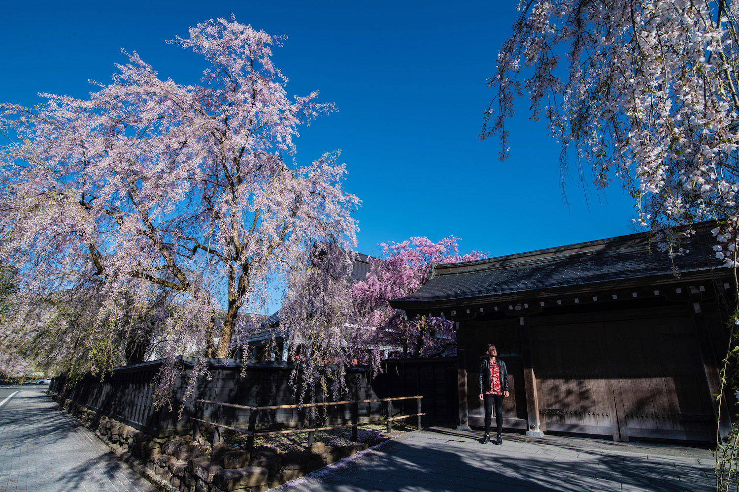 tohoku travel books