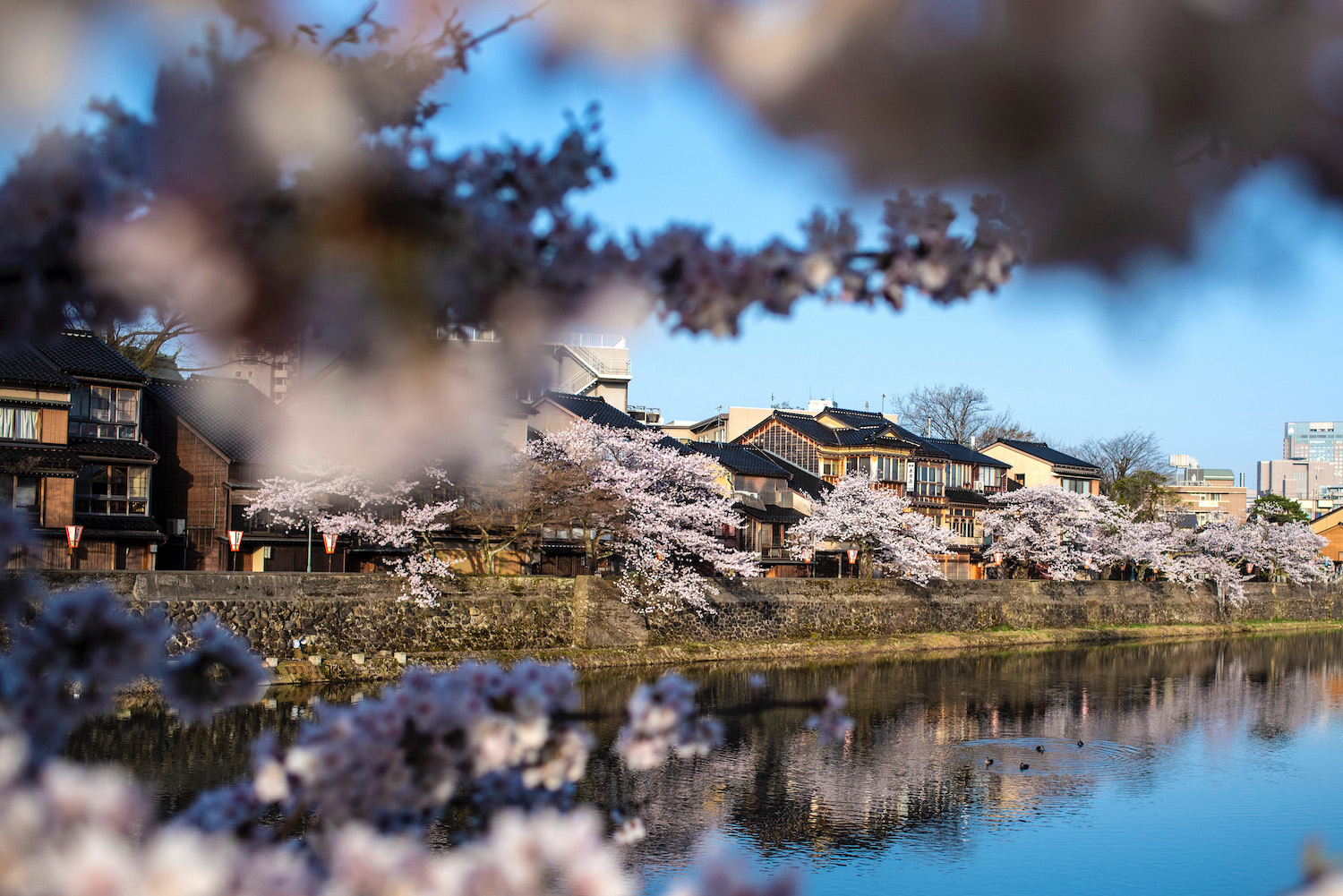 sea of japan tourism