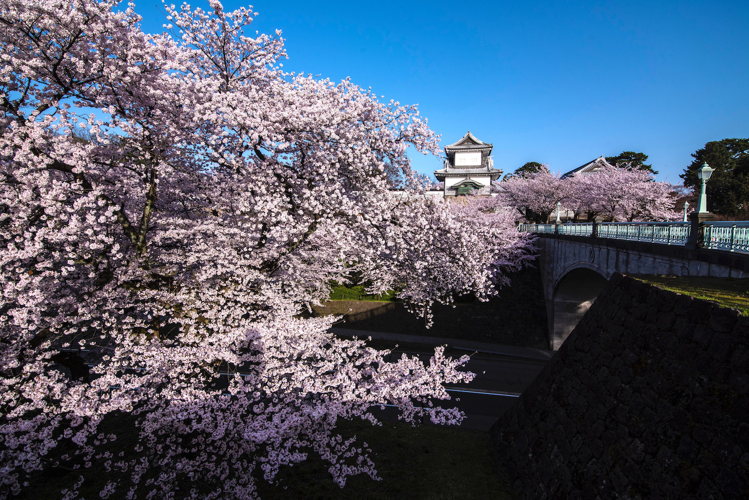 japan travel photography