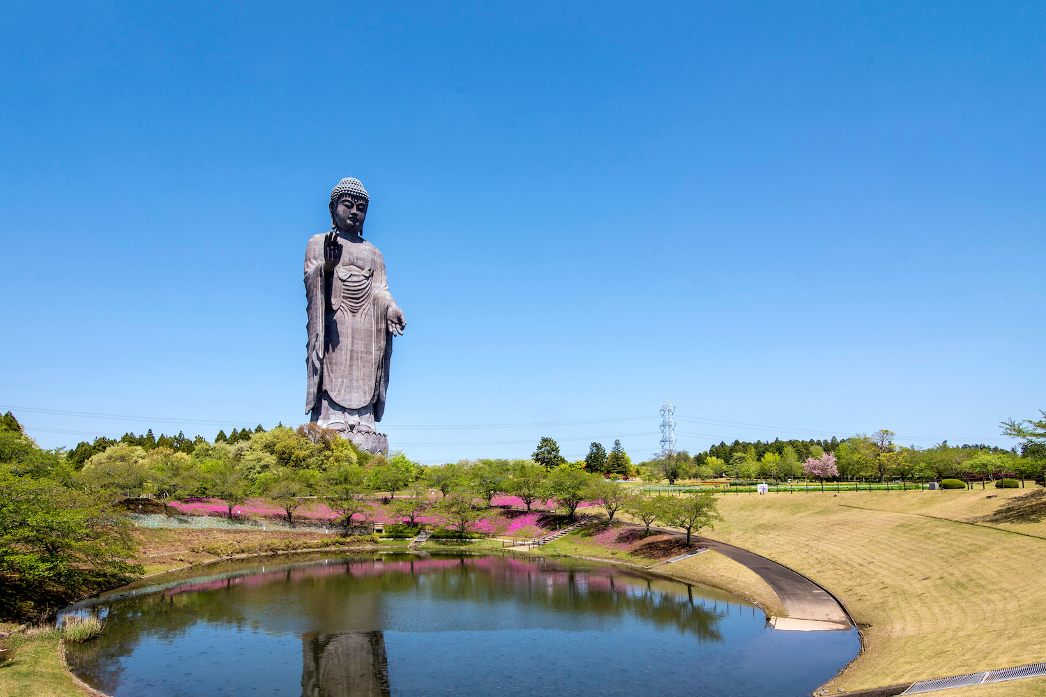 visit the hitachi seaside park (ibaraki japan)