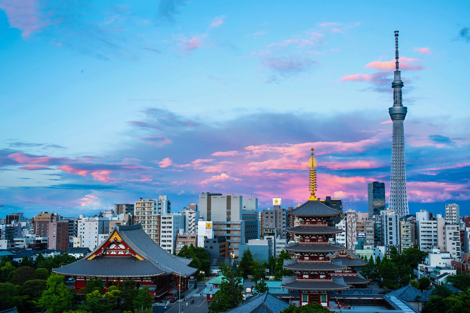 tokyo tourist video