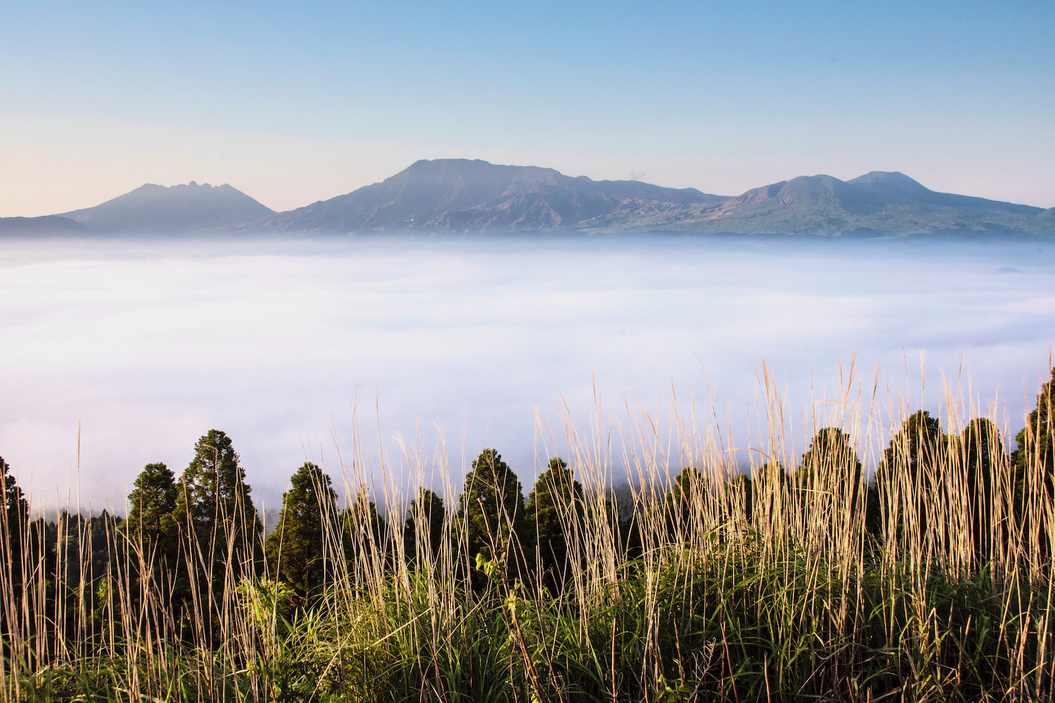 mount aso travel