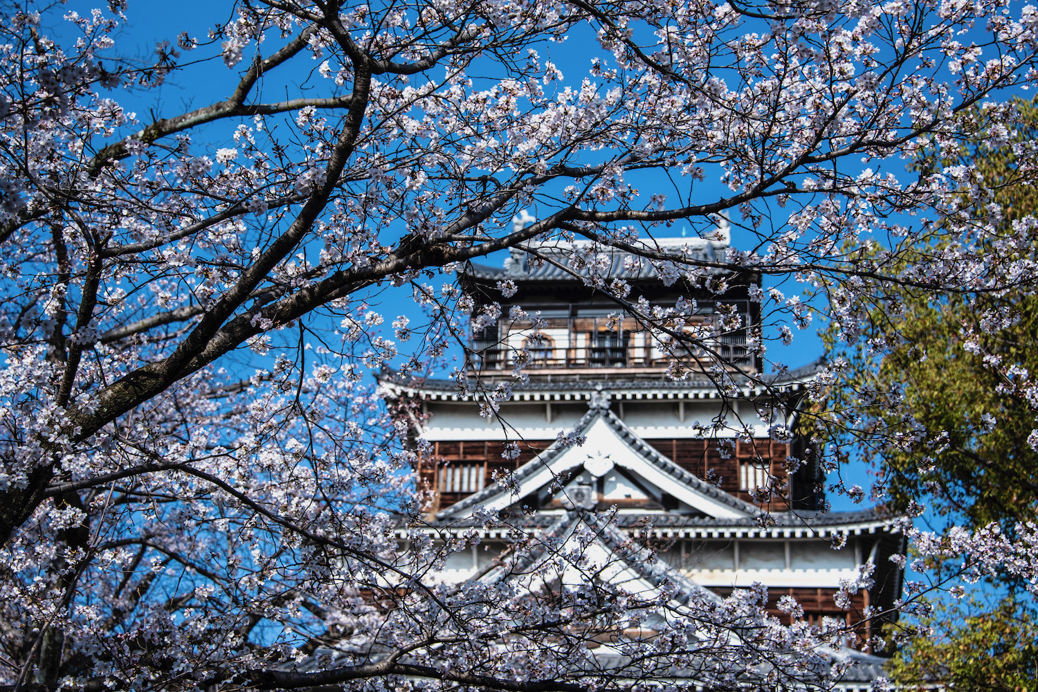 is hiroshima or nagasaki better to visit