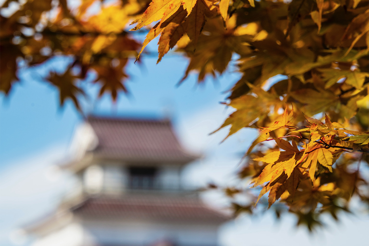 japan tourism fukushima