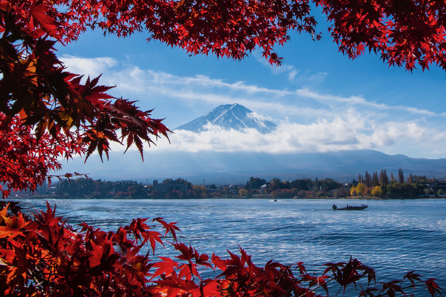 mt fuji tourist information