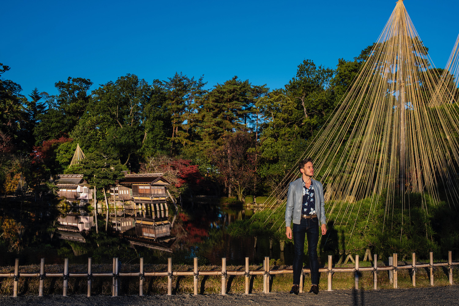 Autumn in Japan: 2024 Fall Foliage Forecast