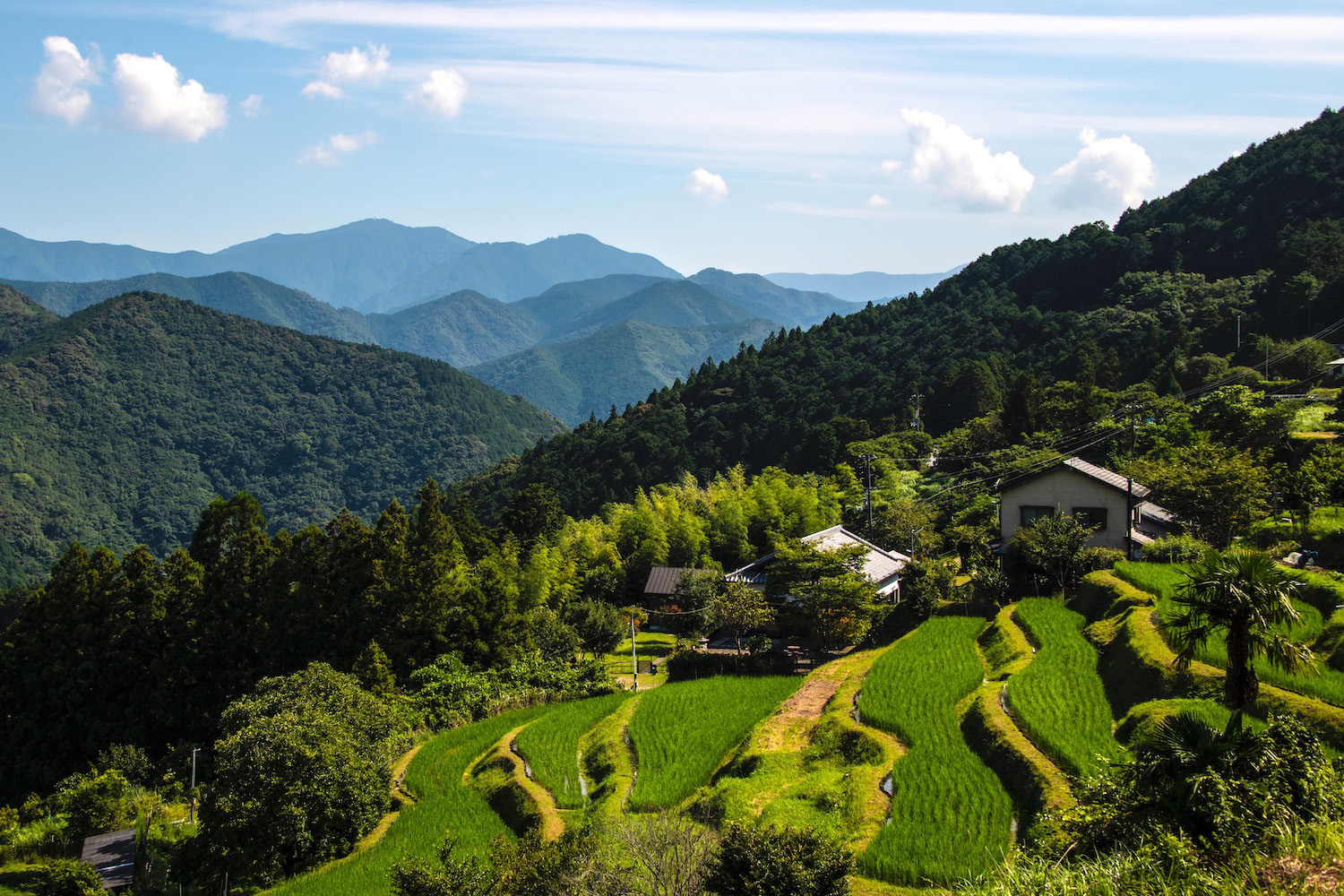 kumano kodo day trip from osaka