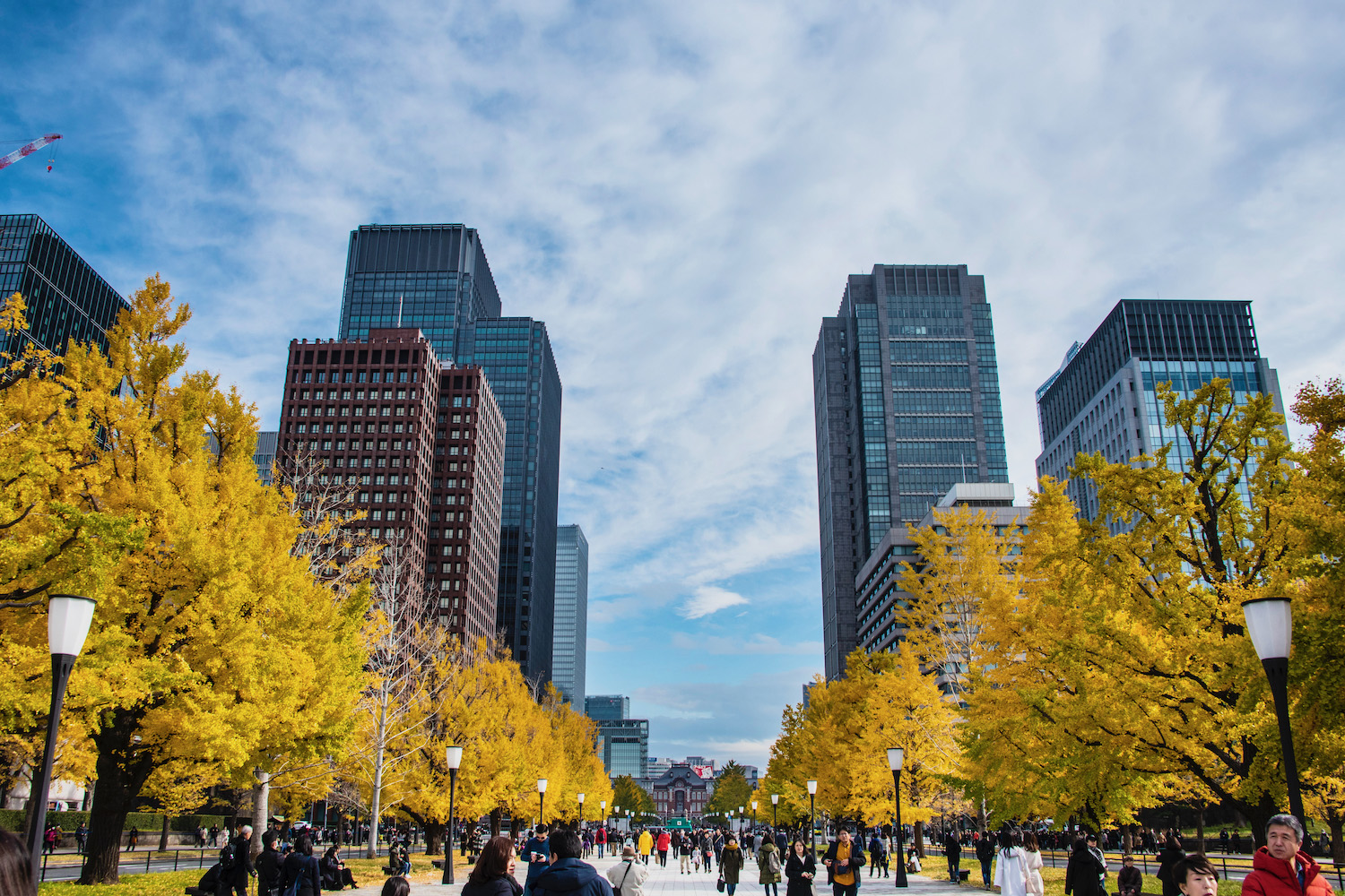 Whats your fav weather in Tokyo?