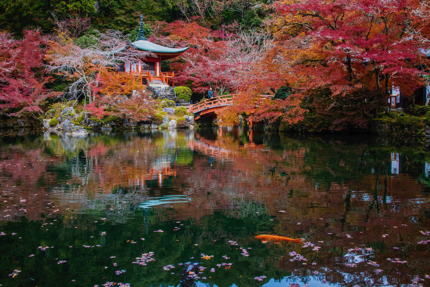 GIAPPONE LE ANTICHE TRADIZIONI DEL SOL LEVANTE FOLIAGE I Viaggi   Japan In Autumn 