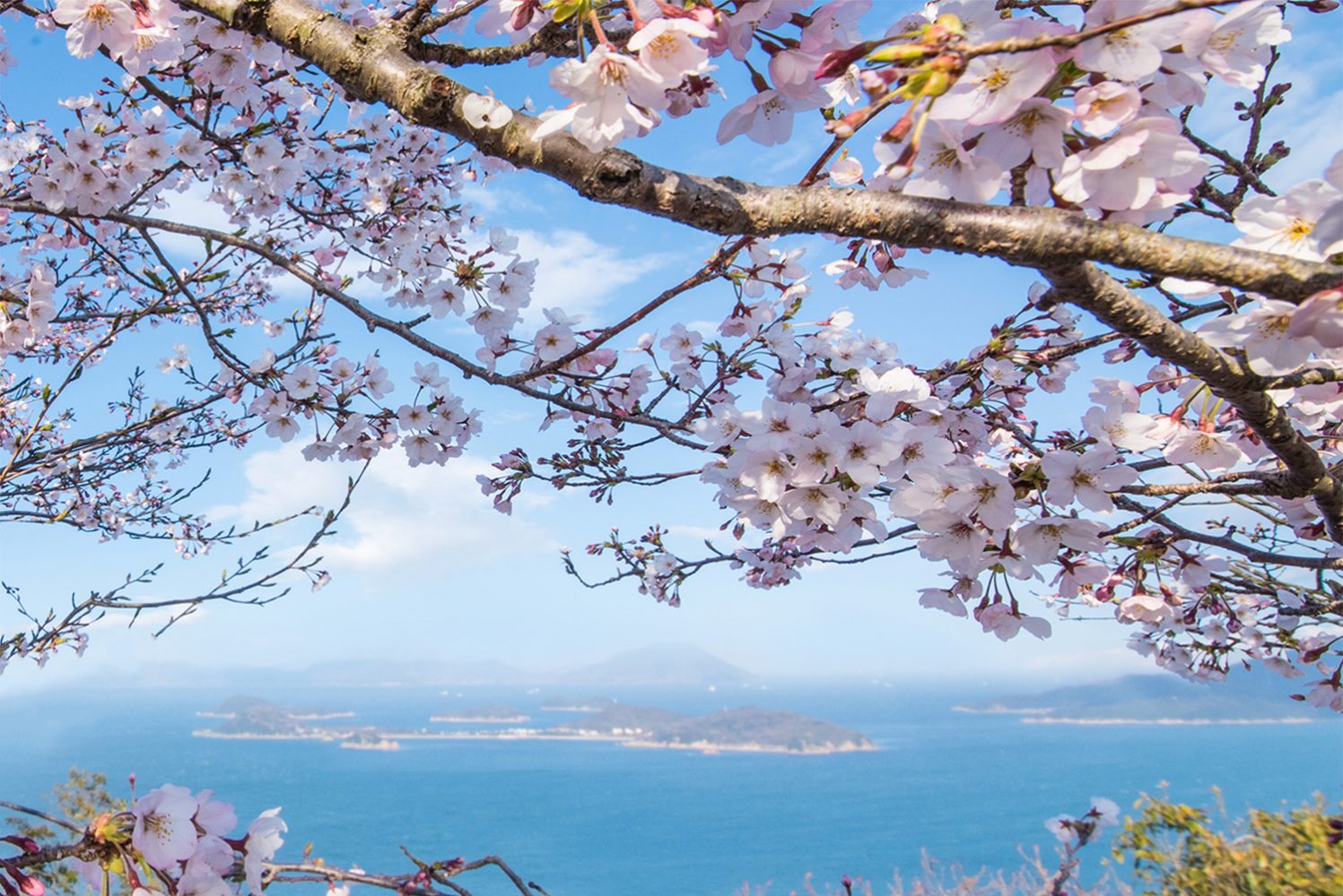 The Only Setouchi Travel Guide You're Going to Need