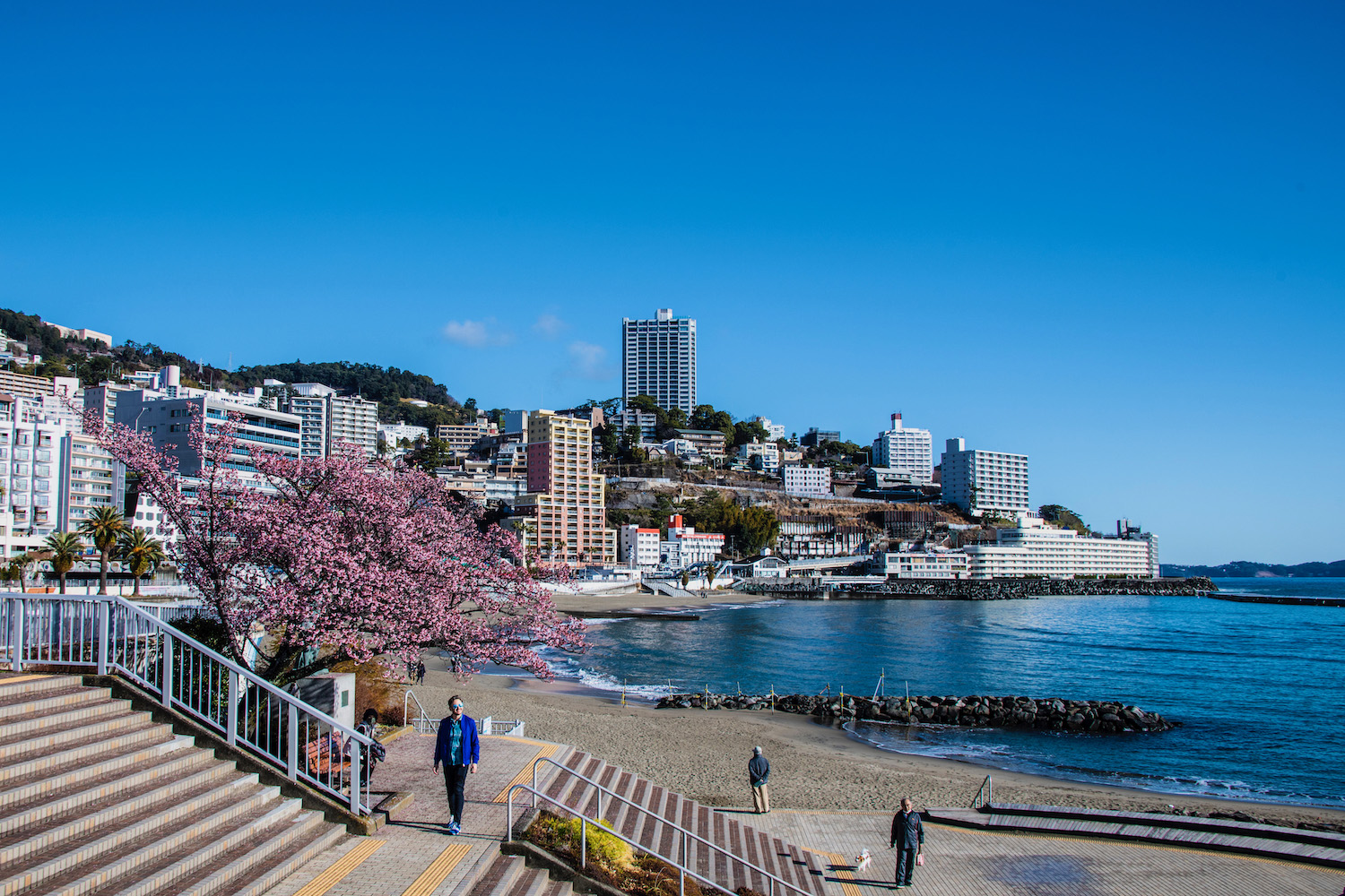 tourist spot in shizuoka japan