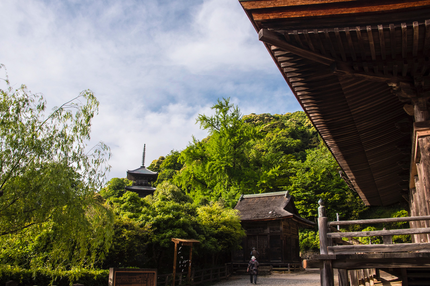 japan tourism may