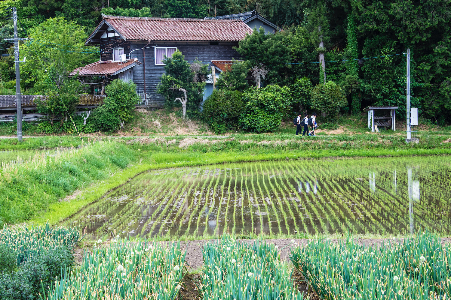 japan travel may 8