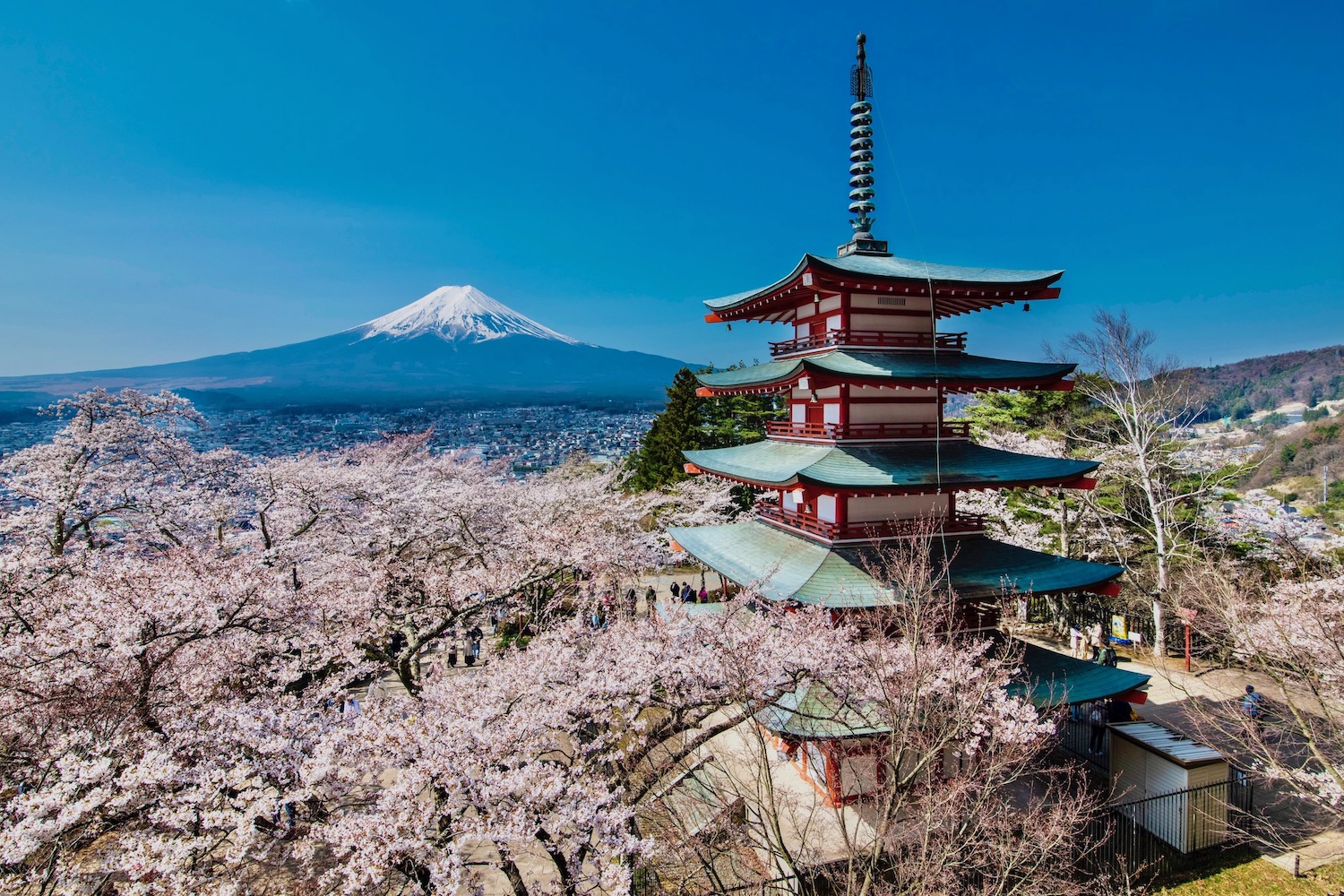 mt fuji tourist guide