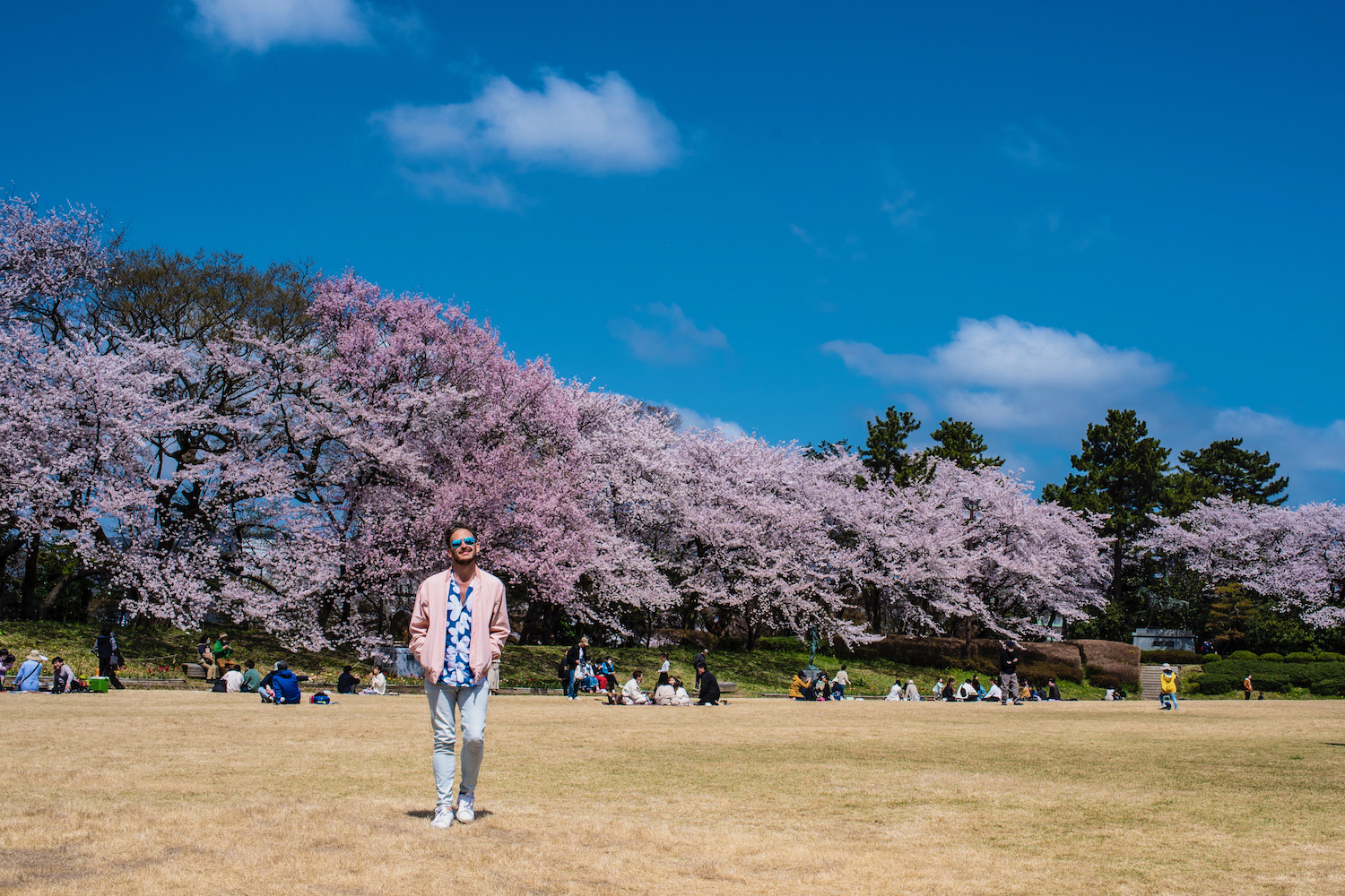 Tokyo, Japan. 24th Mar, 2022. The traditional Japanese Cherry blossom  season in Tokyo is set to start on March 28, 2022. Some Sakura trees  started to bloom already, like here in Naka