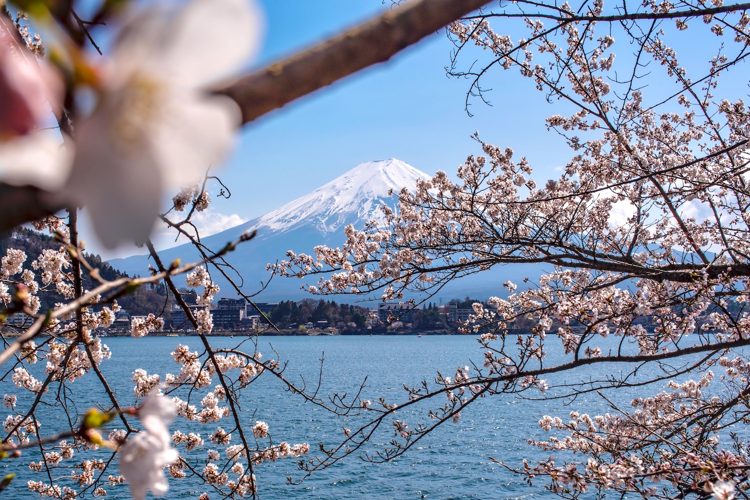 travelling around fuji