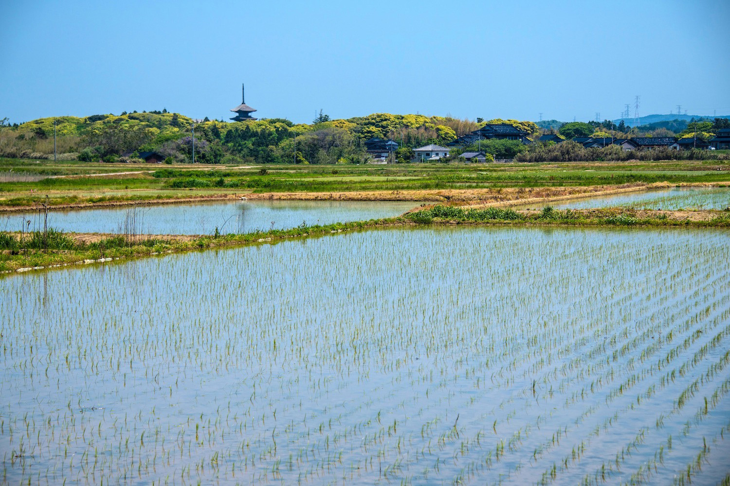 best road trips japan